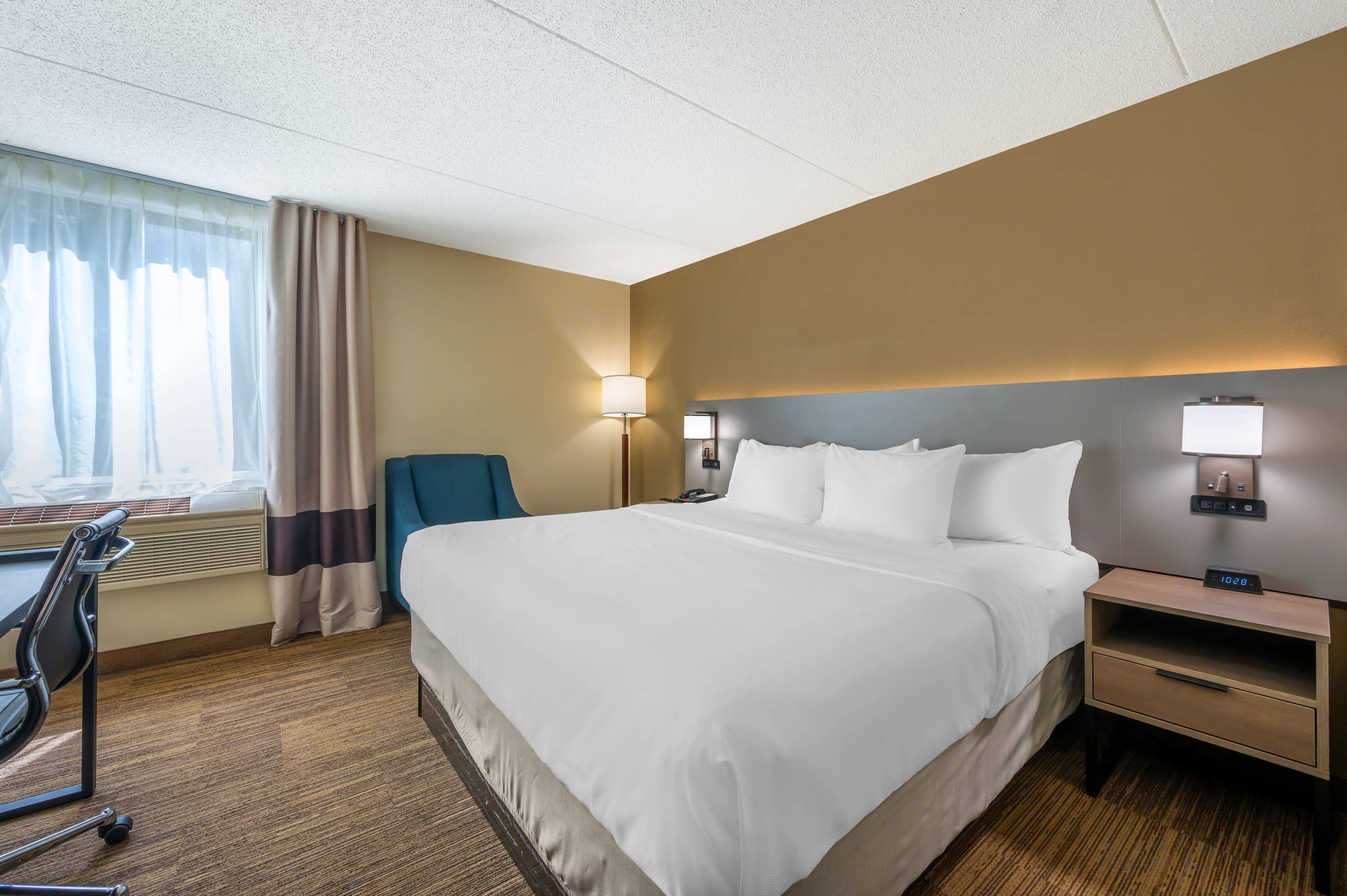 Comfort Inn & Suites East Hartford - Hartford - Image 2