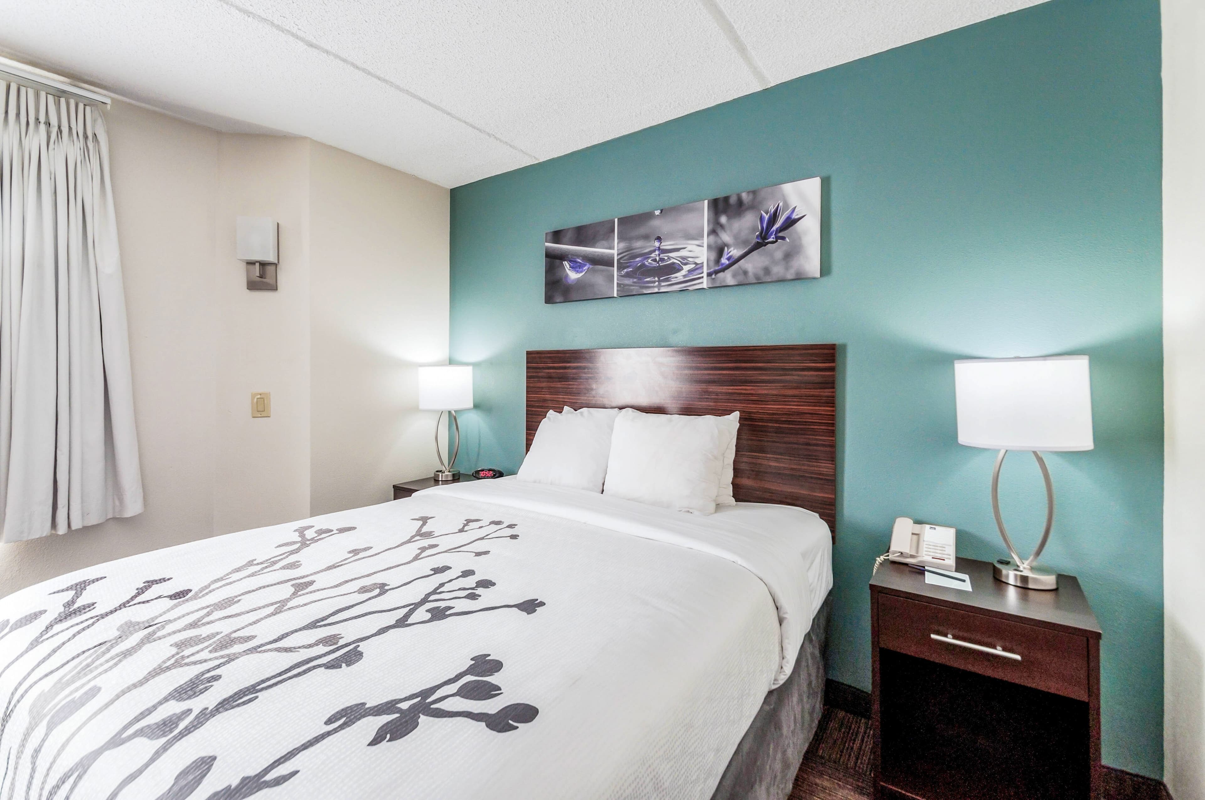 Sleep Inn & Suites Rehoboth Beach - Image 2