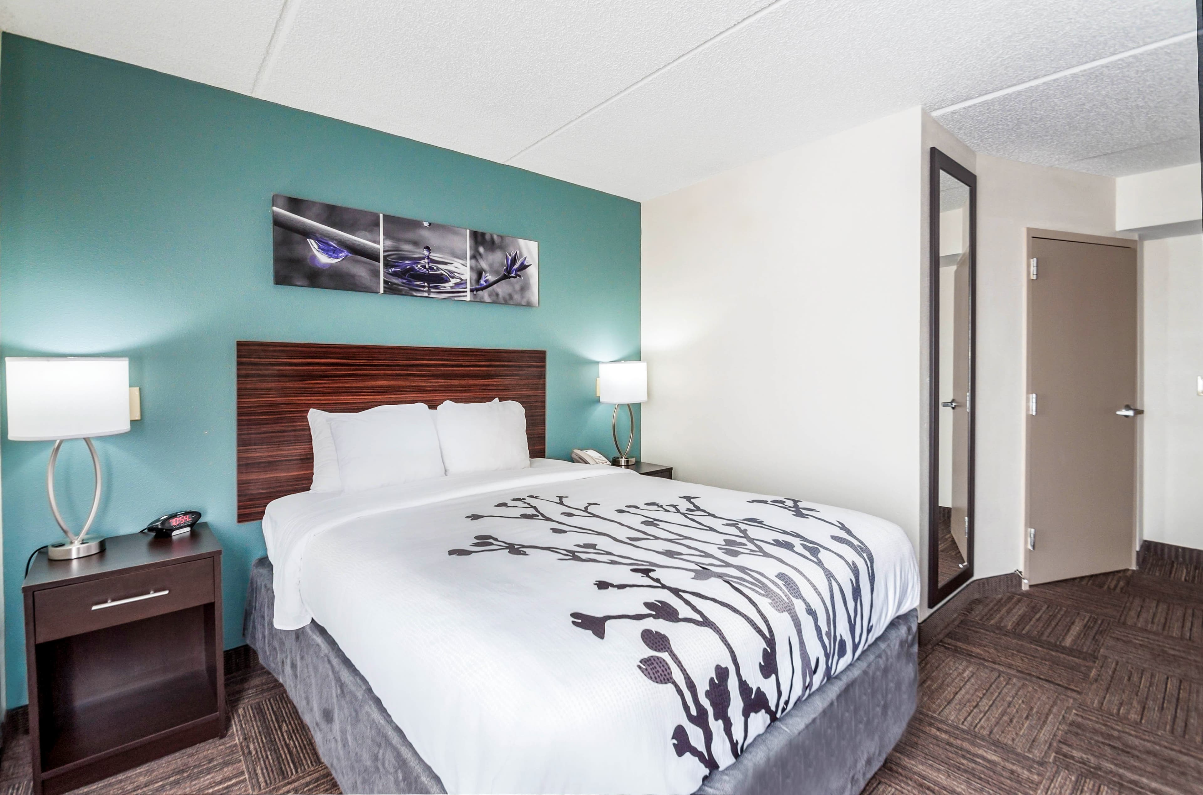 Sleep Inn & Suites Rehoboth Beach - Image 3