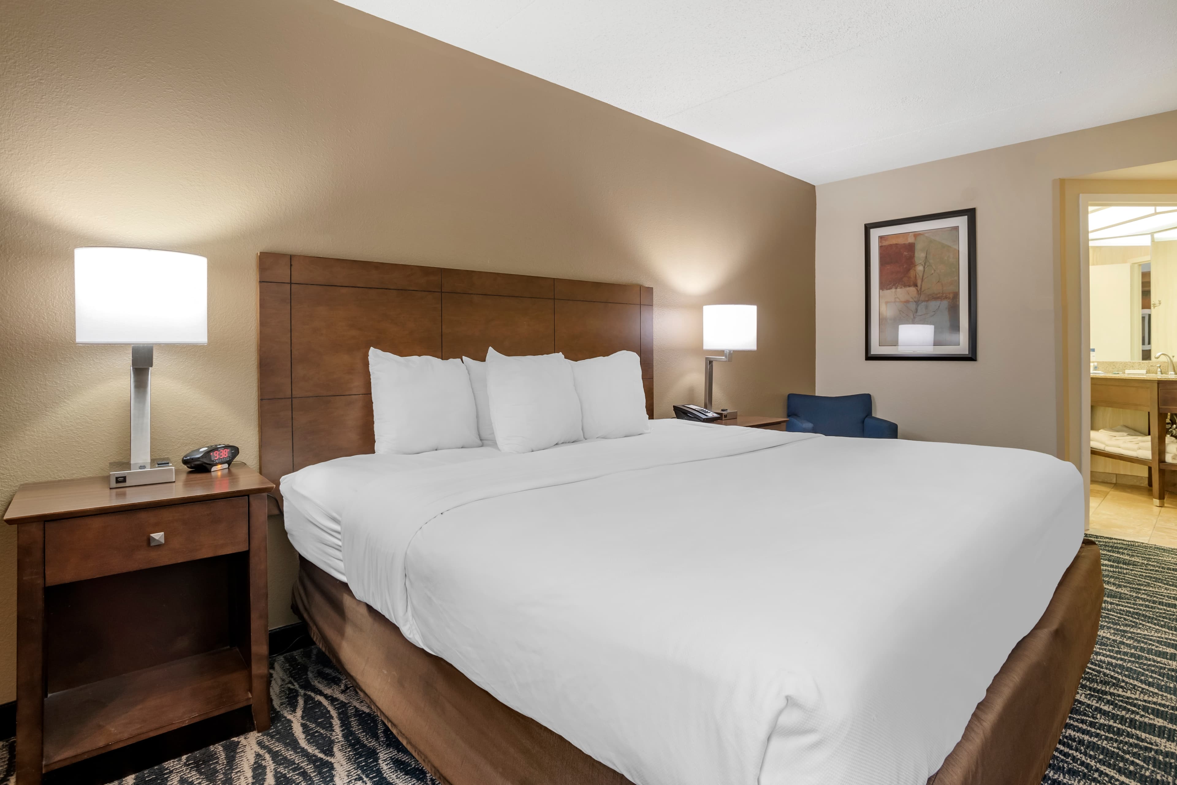 Comfort Inn & Suites Newark - Wilmington — 11