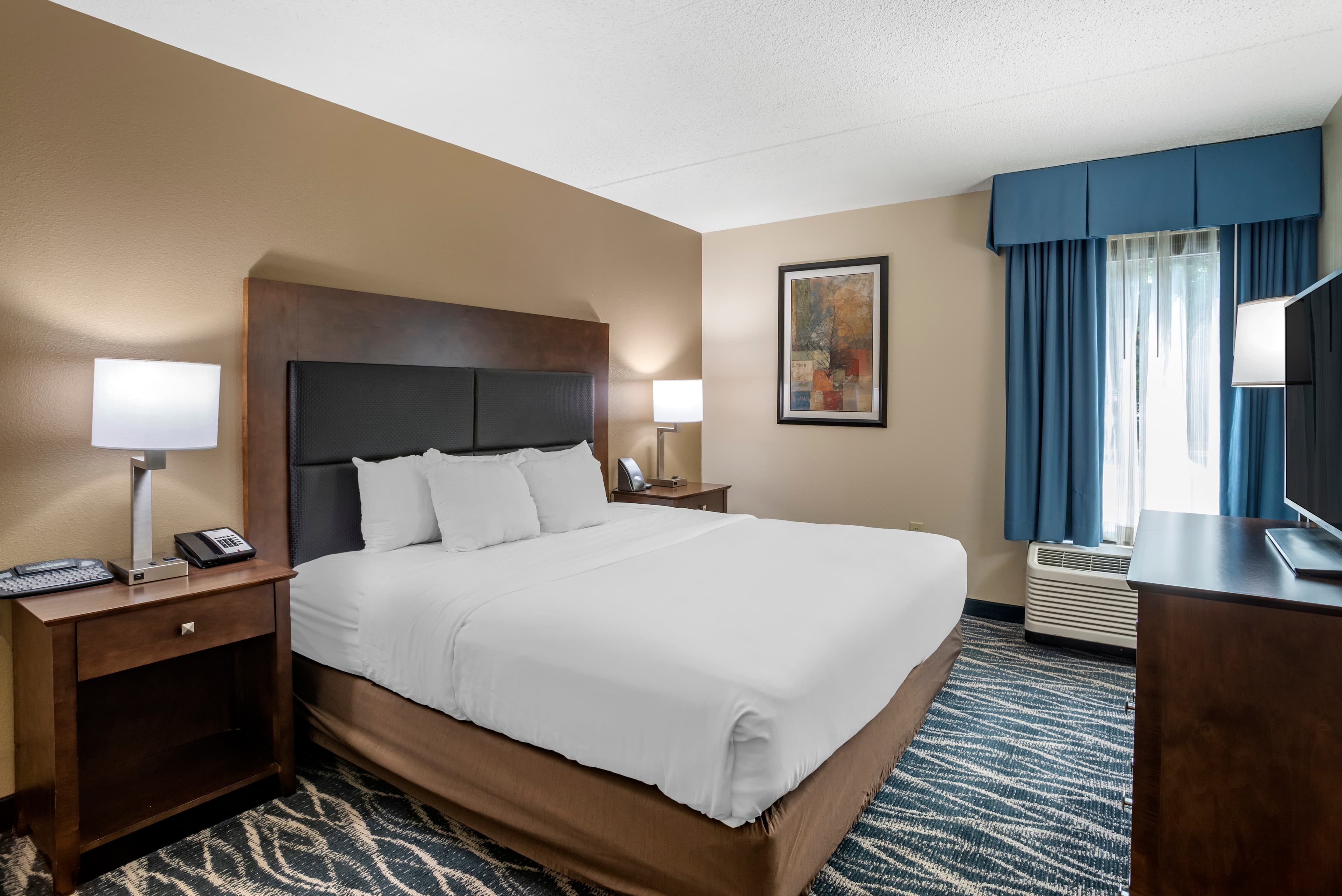 Comfort Inn & Suites Newark - Wilmington — 15