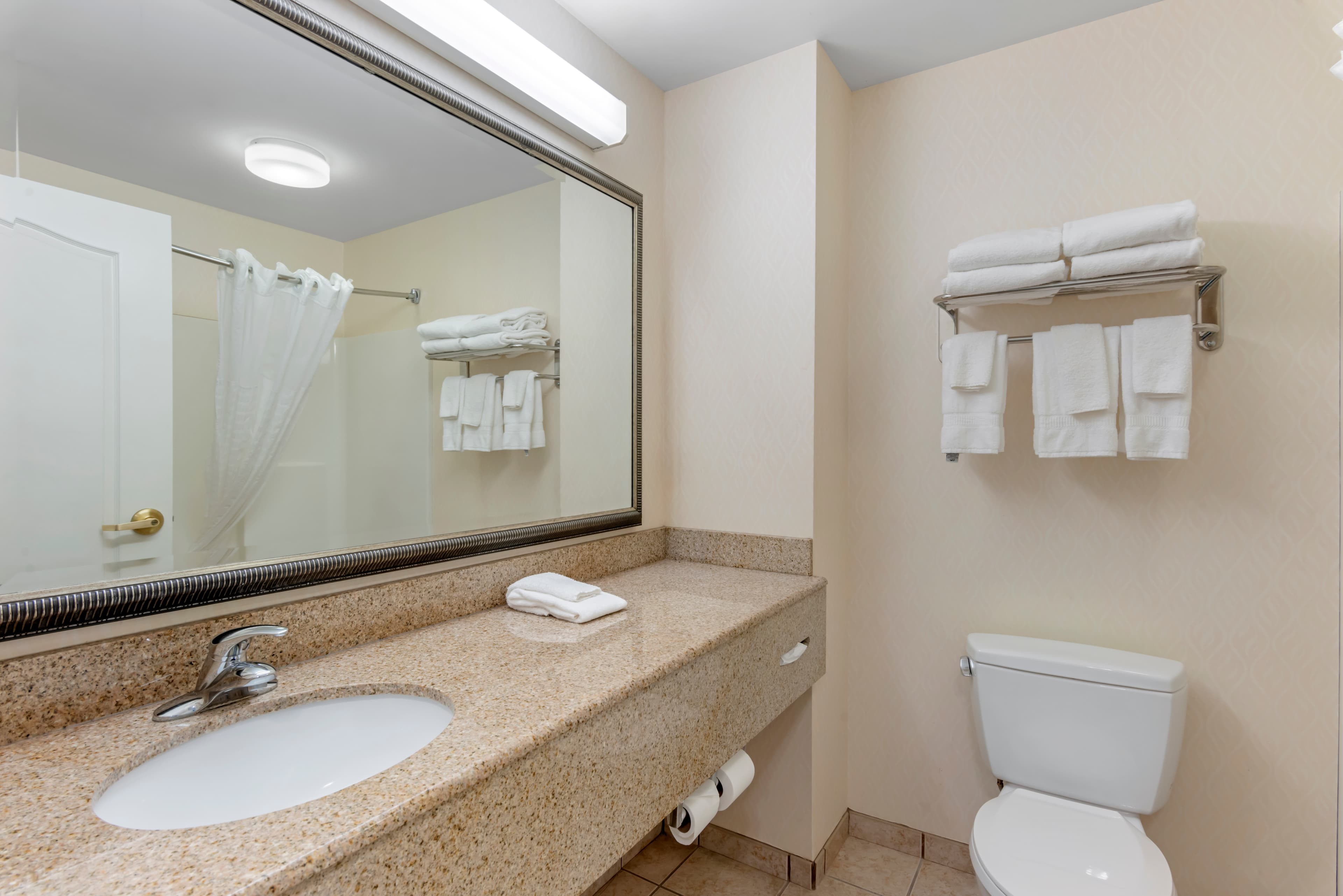 Comfort Inn & Suites Dover near Speedway — 15
