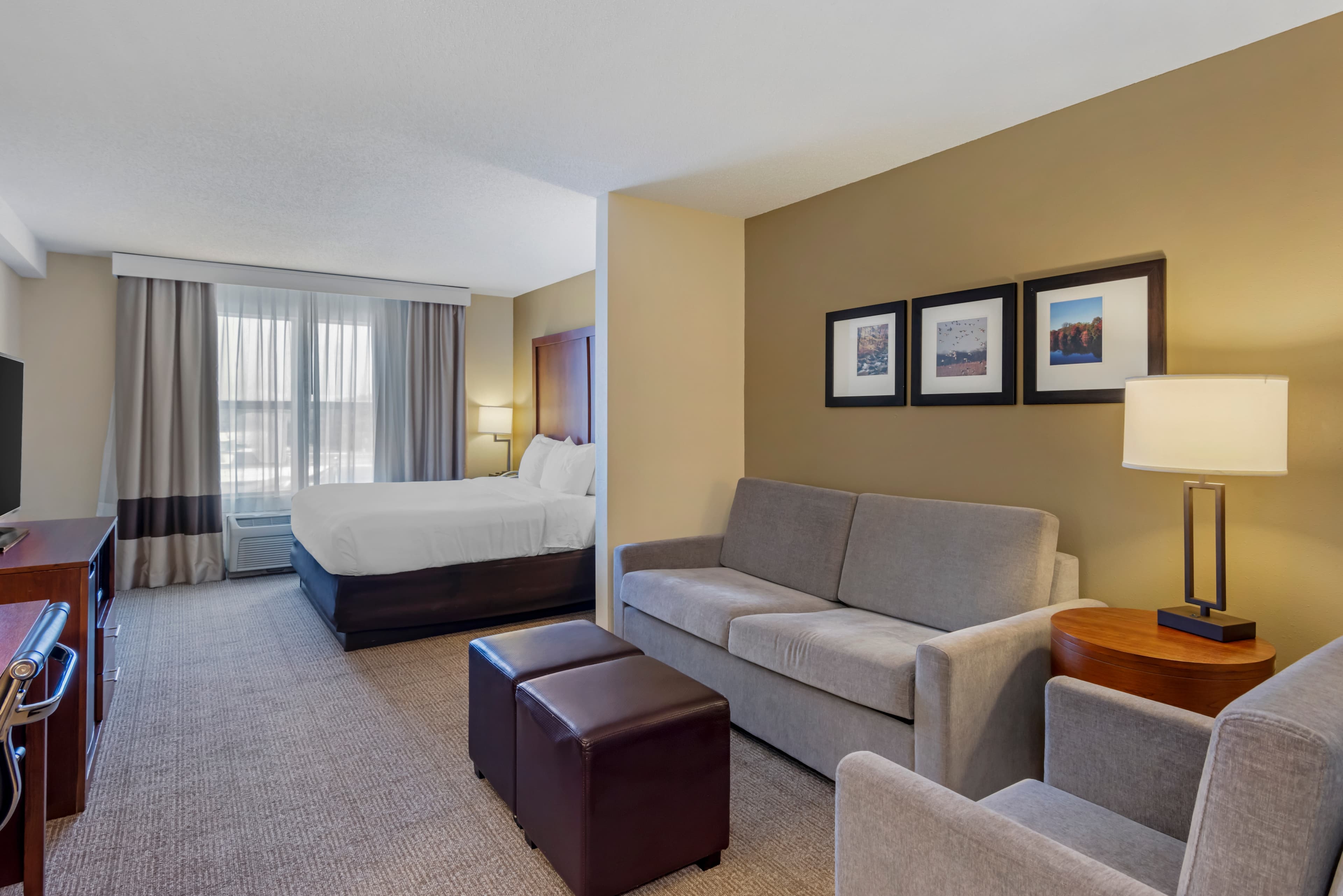 Comfort Inn & Suites Dover near Speedway — 27