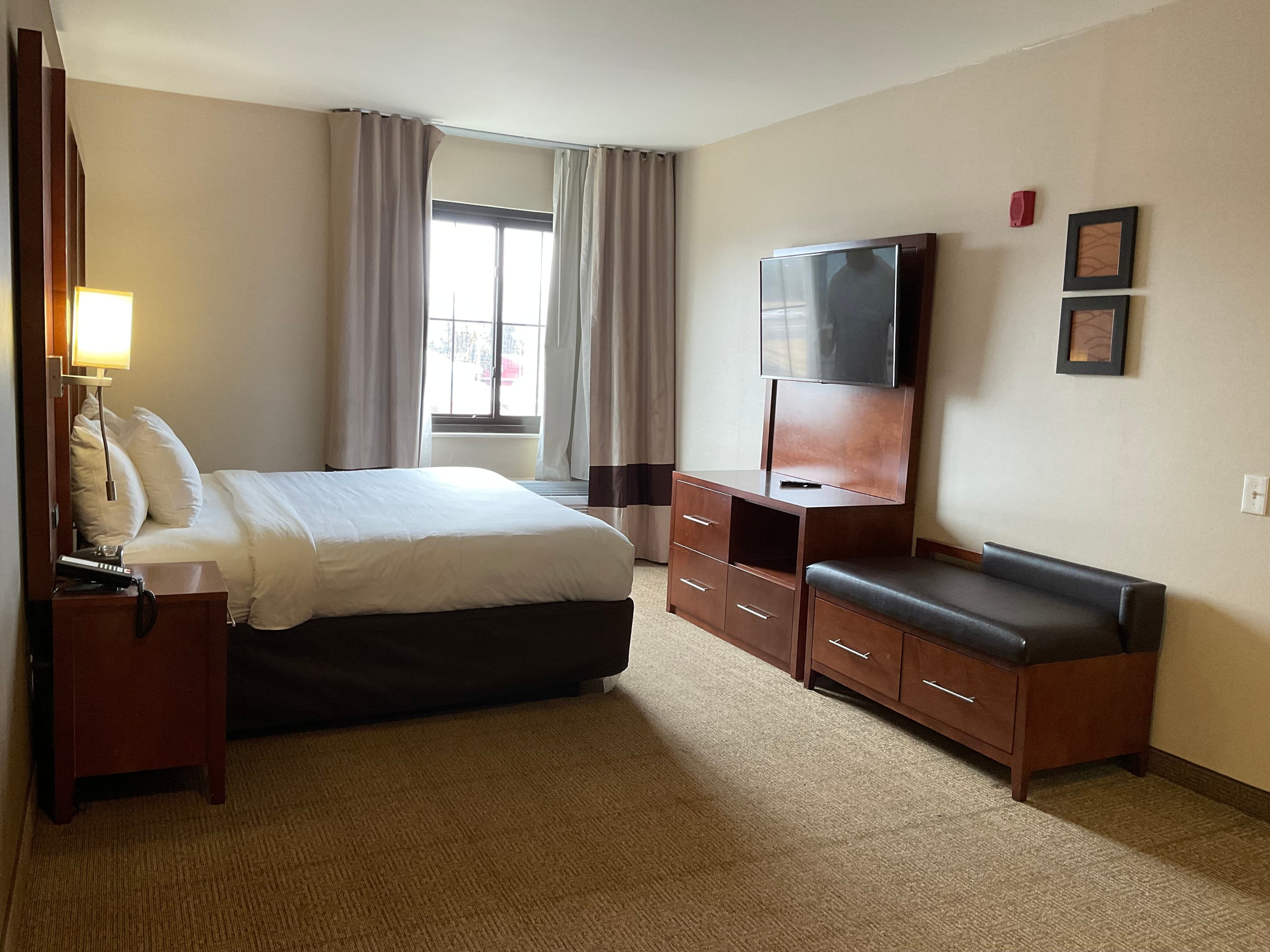 Comfort Suites Dover University Area — 18