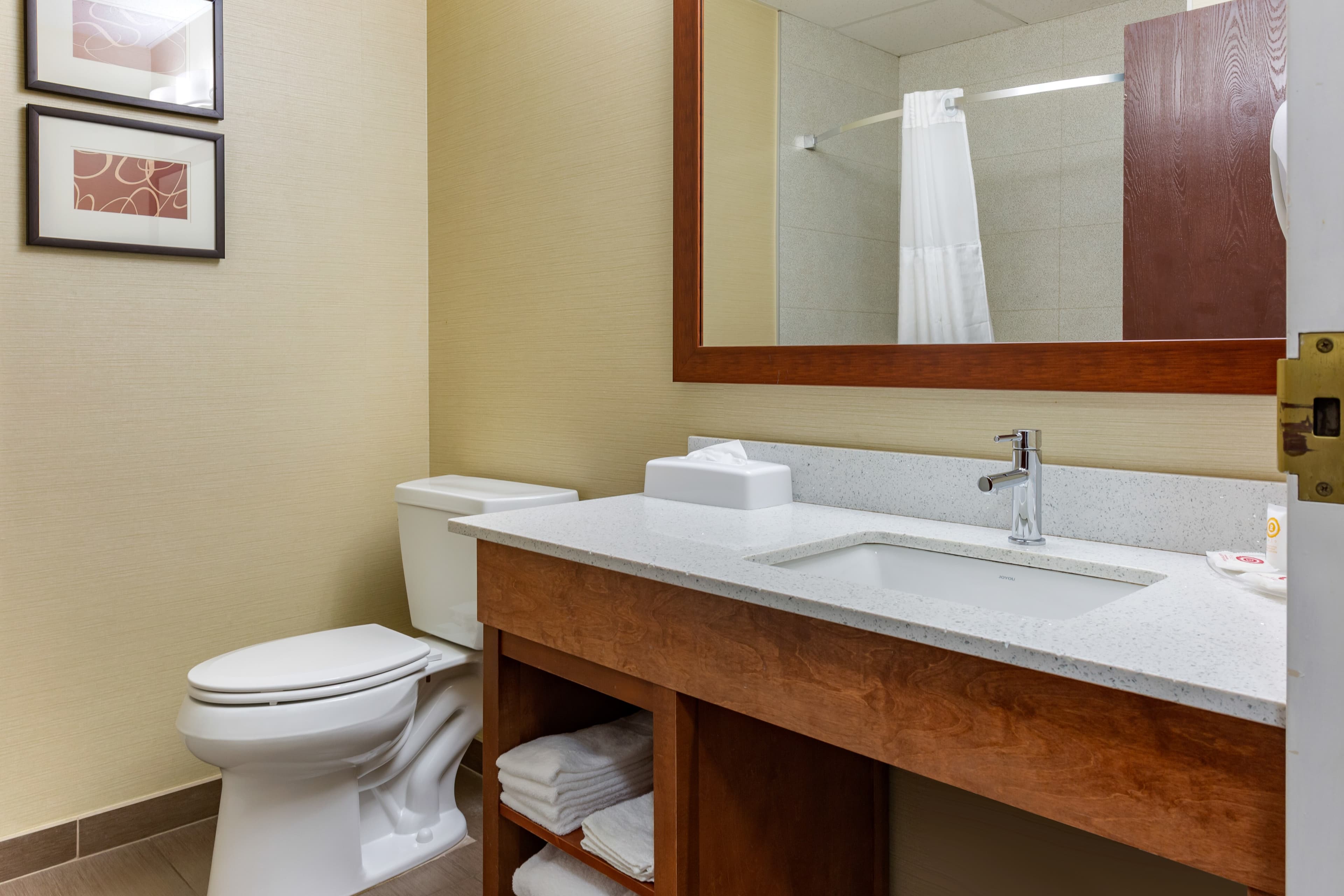Comfort Suites Dover University Area — 6