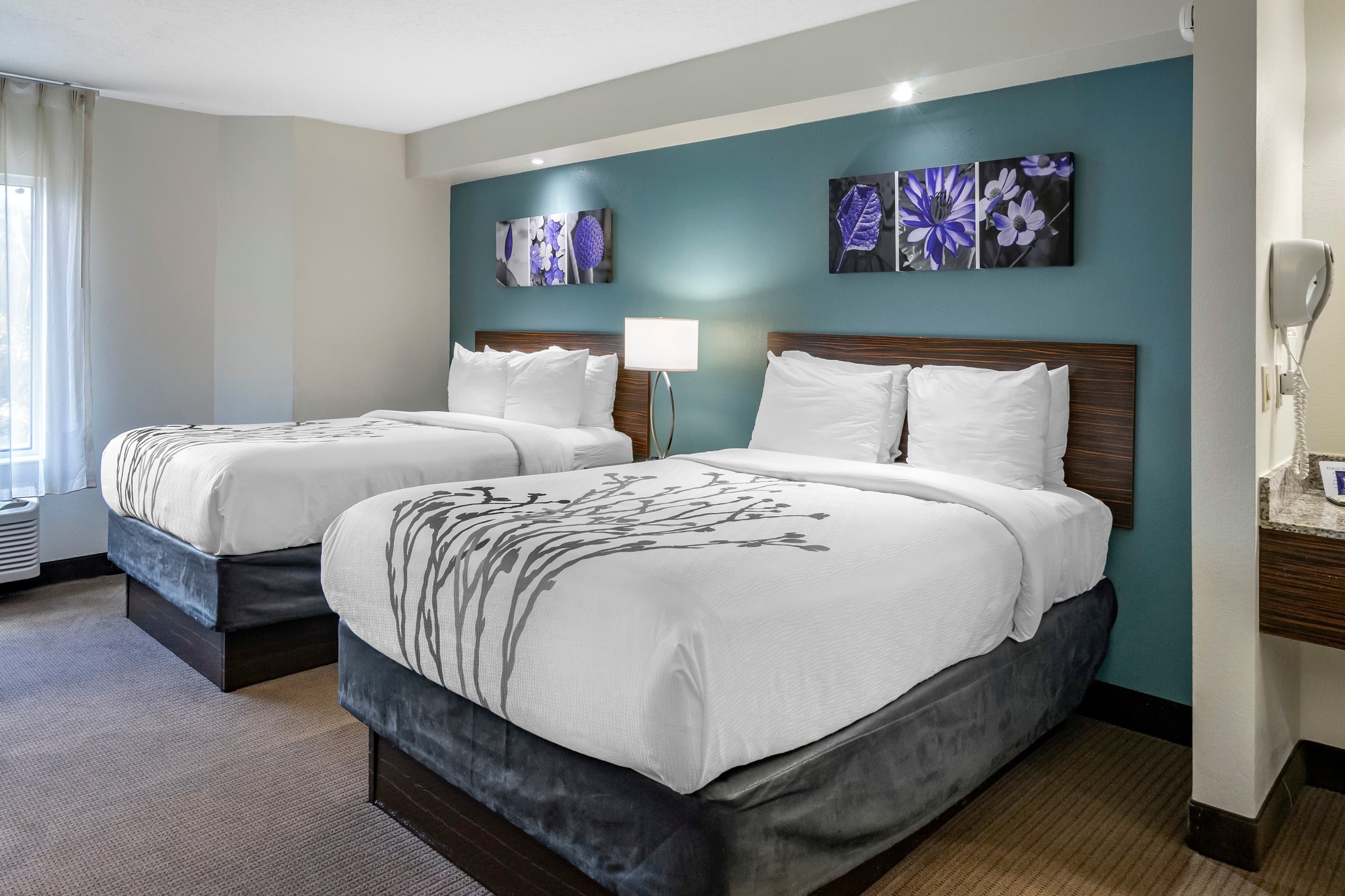 Sleep Inn Clearwater-St Petersburg - Image 2