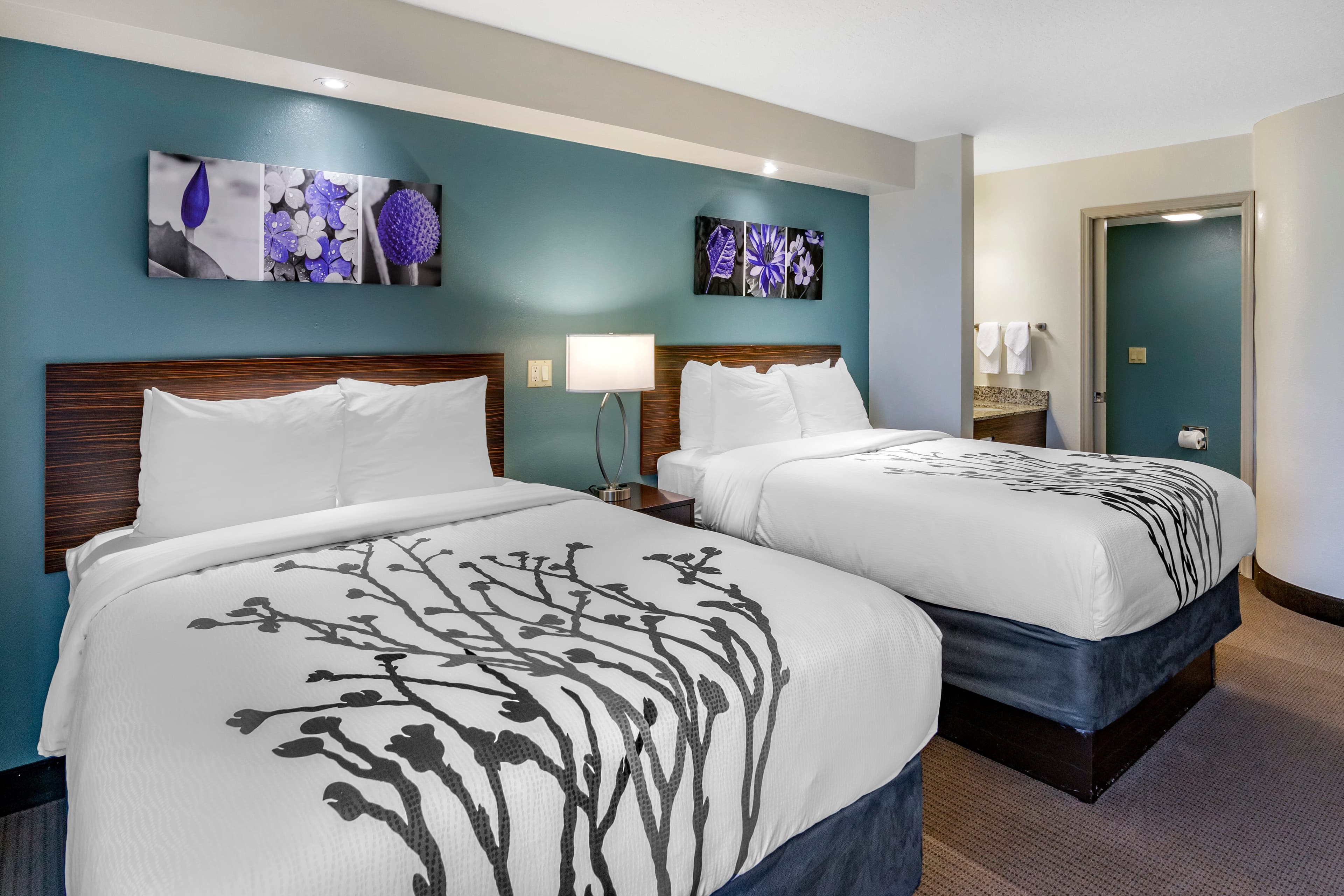 Sleep Inn Clearwater-St Petersburg - Image 3