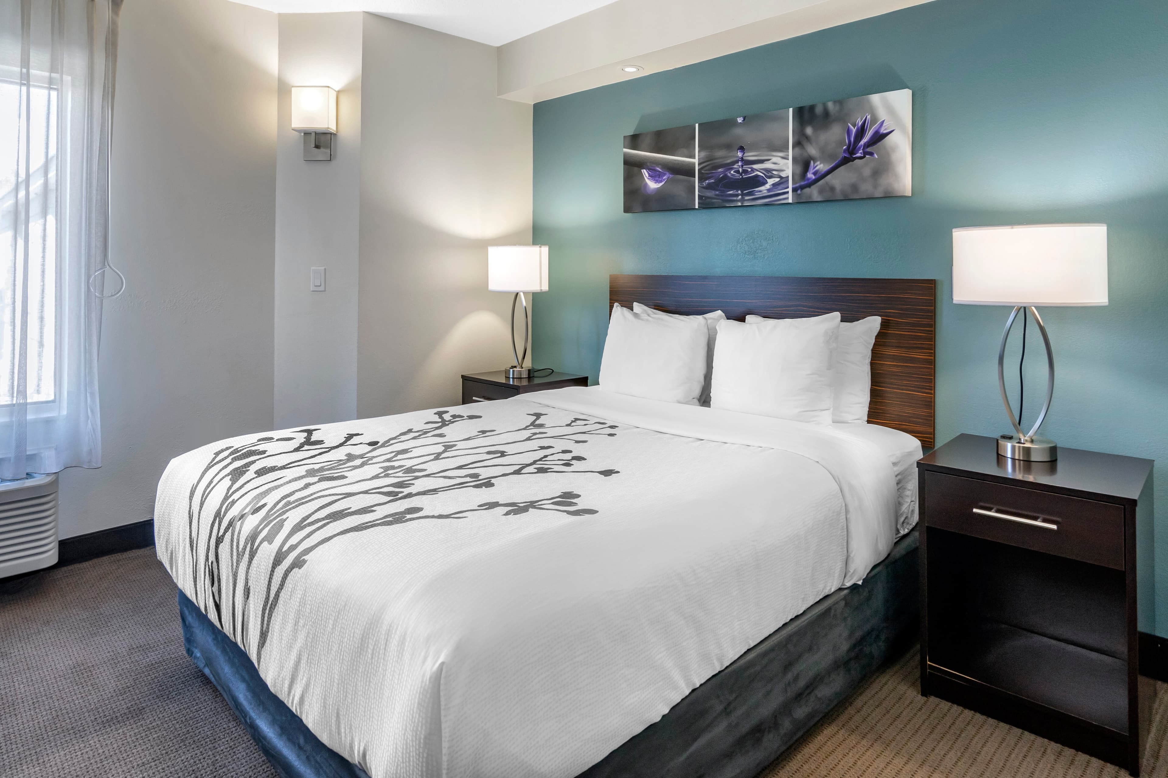 Sleep Inn Clearwater-St Petersburg - Image 5