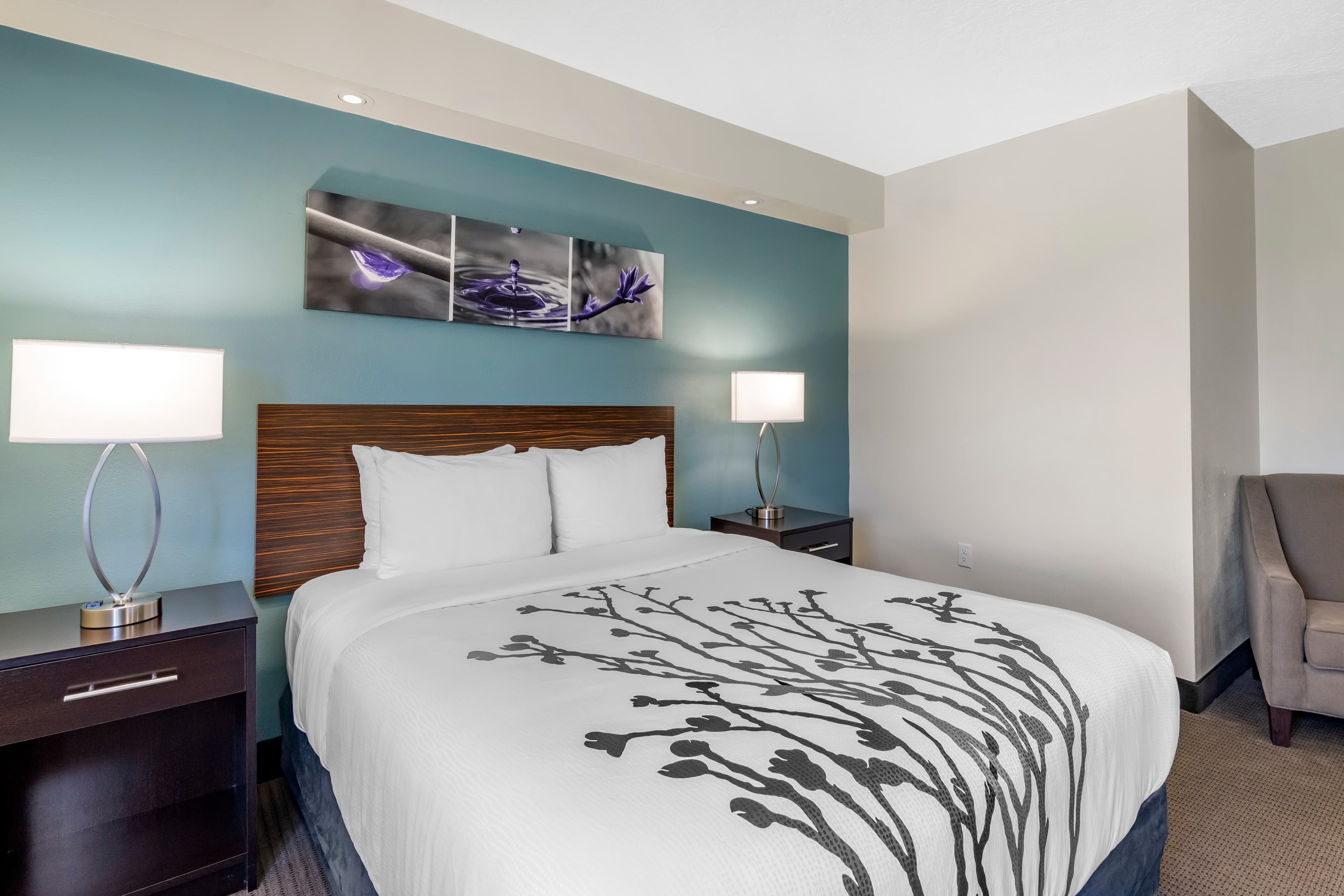 Sleep Inn Clearwater-St Petersburg — 8
