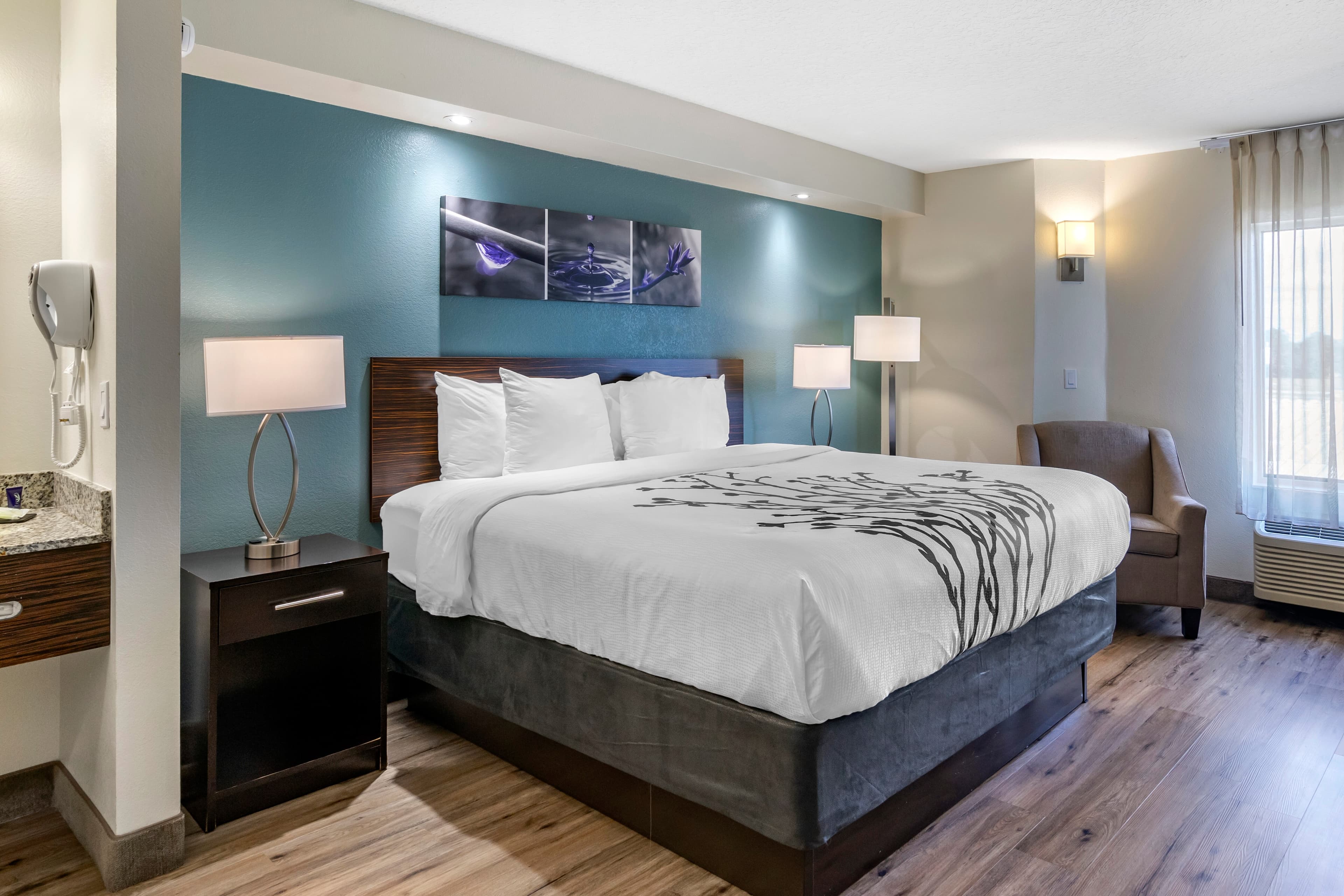 Sleep Inn Clearwater-St Petersburg — 9