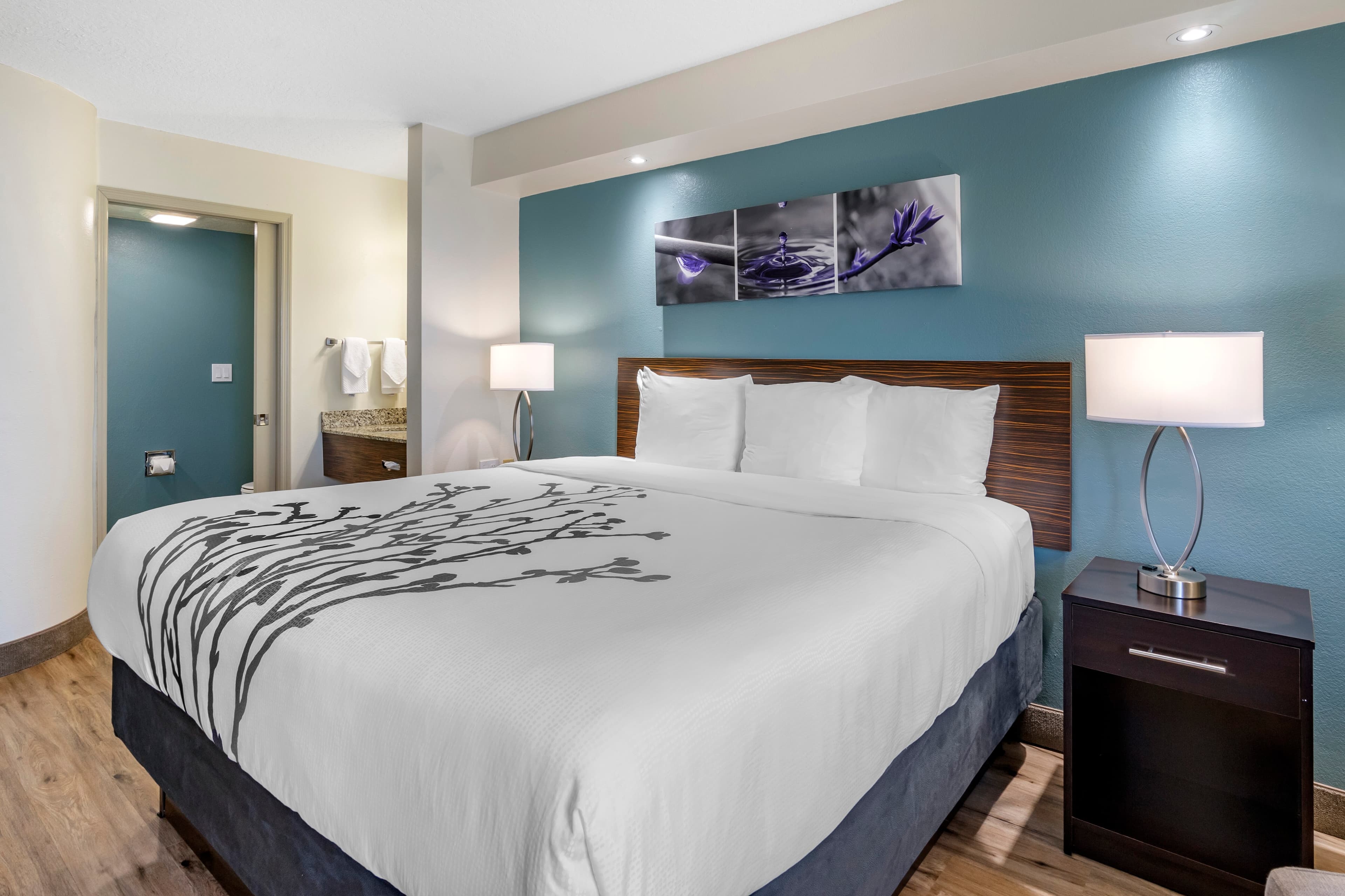 Sleep Inn Clearwater-St Petersburg — 11