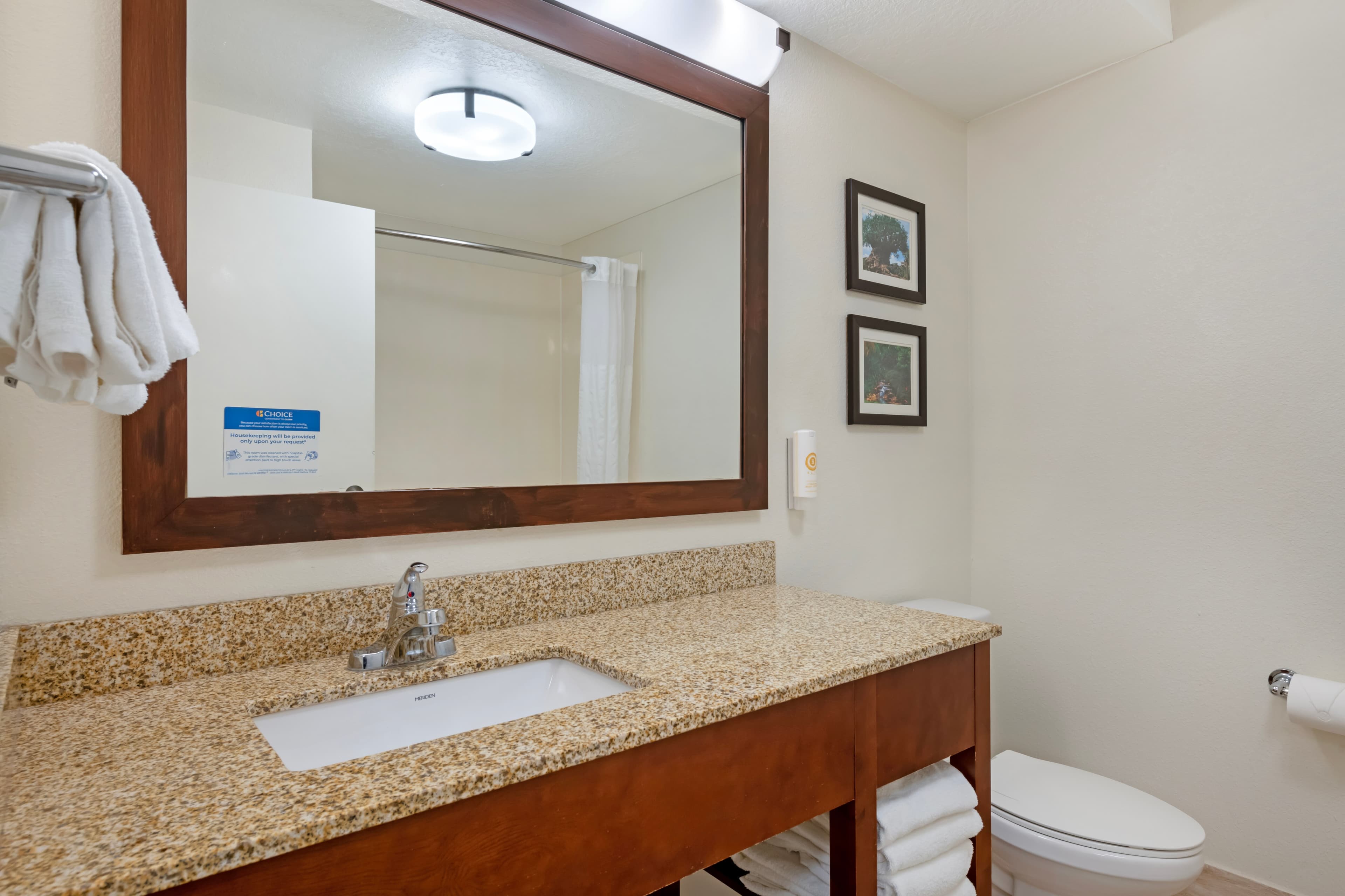 Comfort Suites Downtown — 10