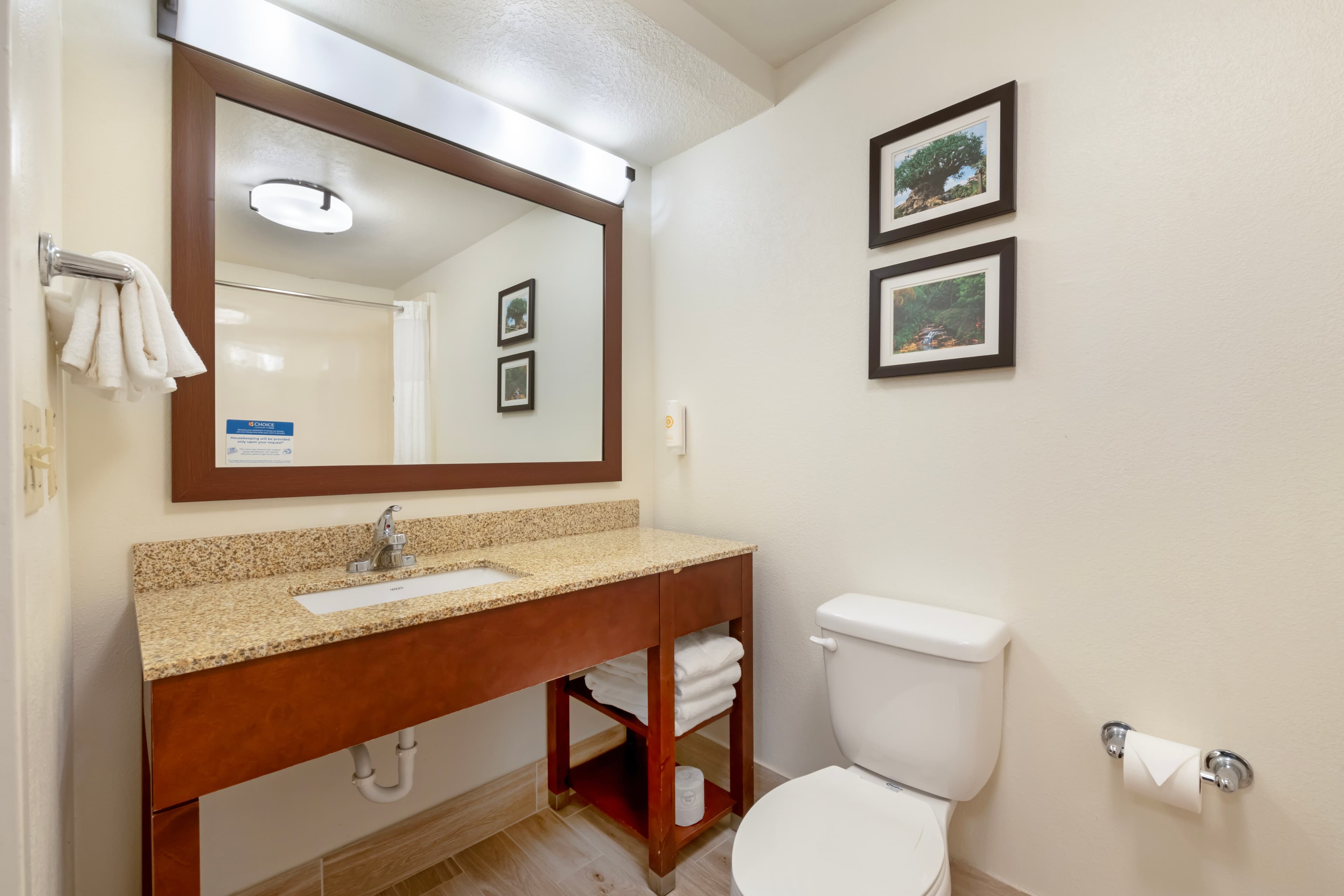 Comfort Suites Downtown — 28