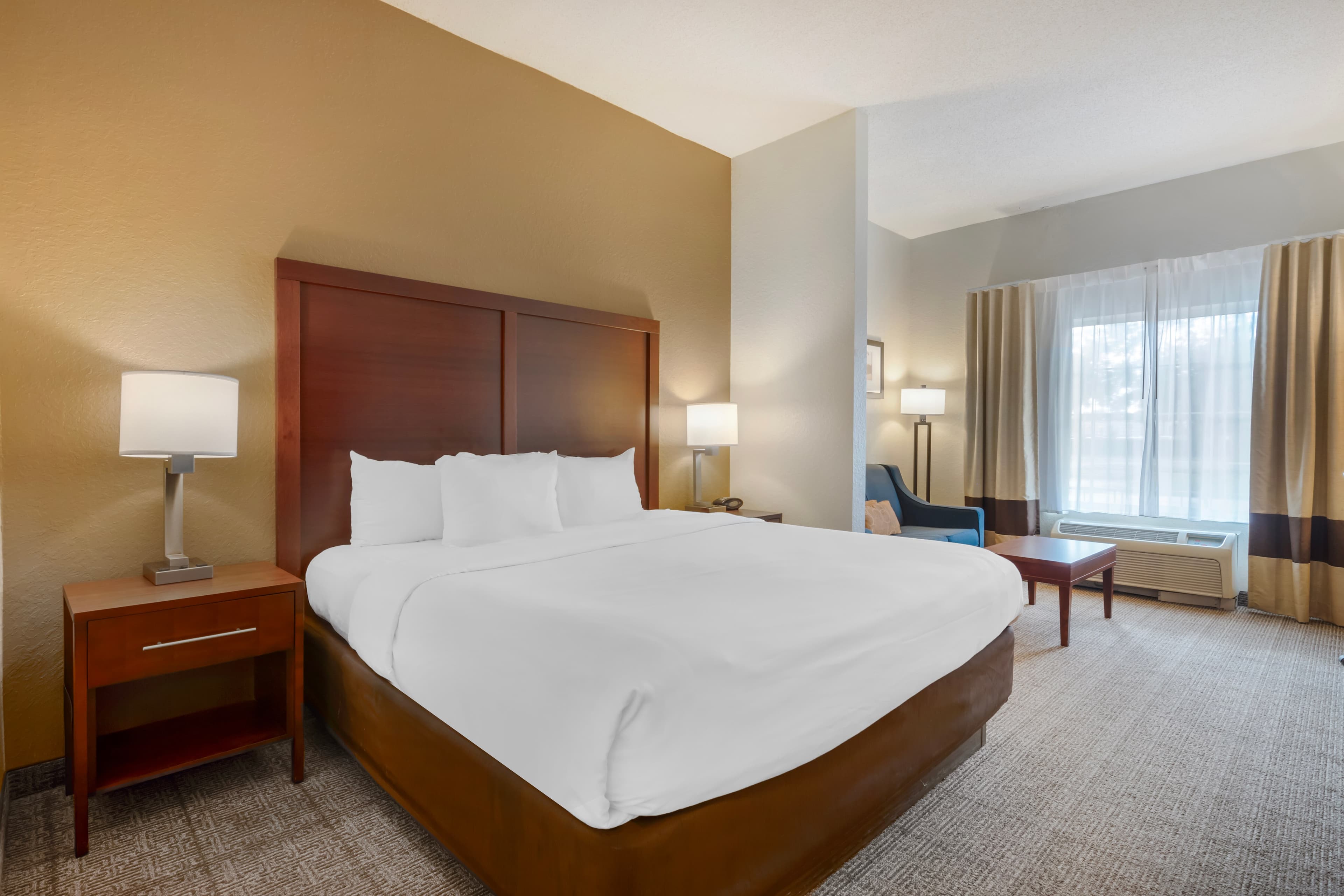 Comfort Suites Downtown — 33