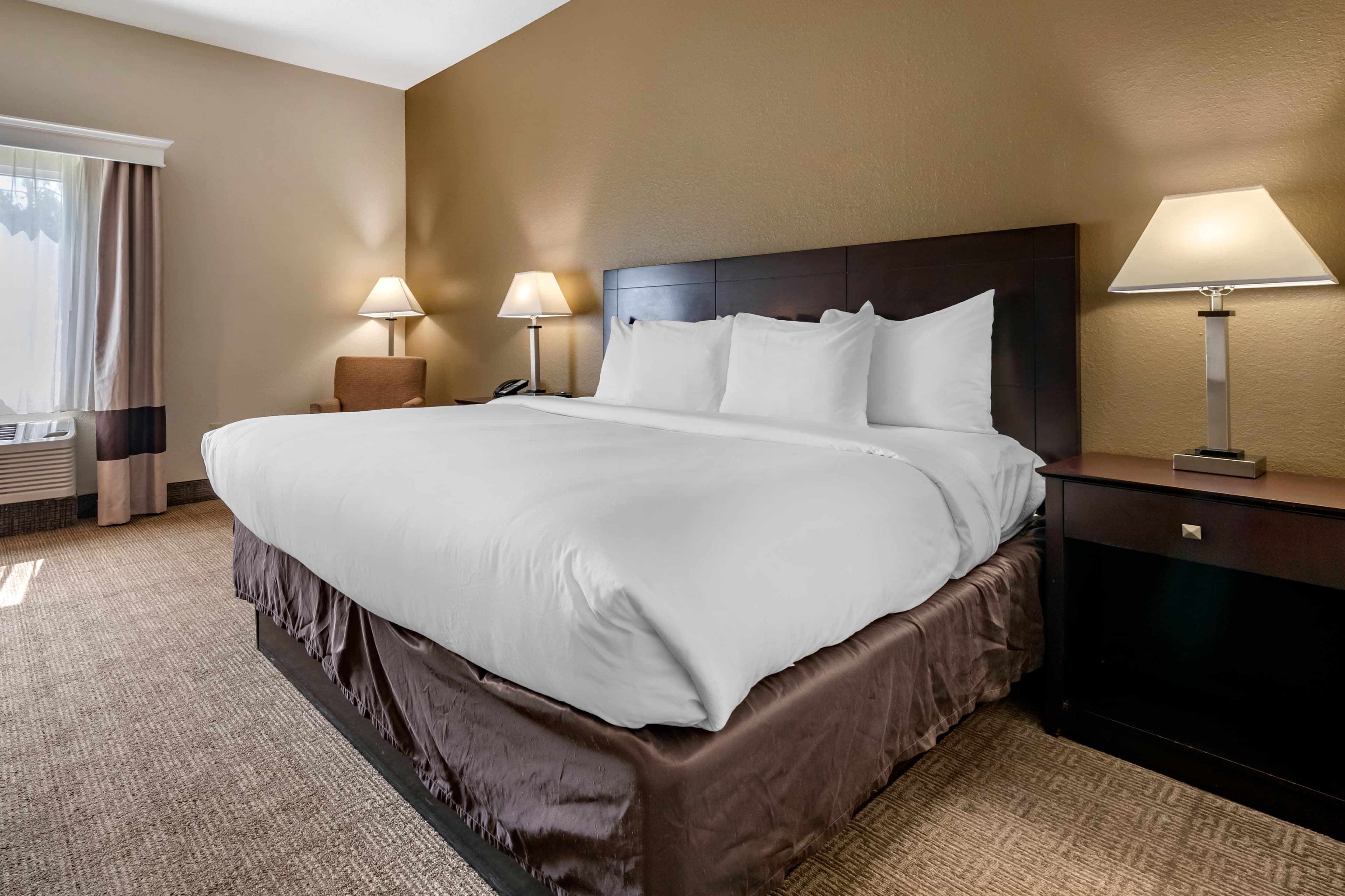 Comfort Inn & Suites DeLand - near University - Image 5