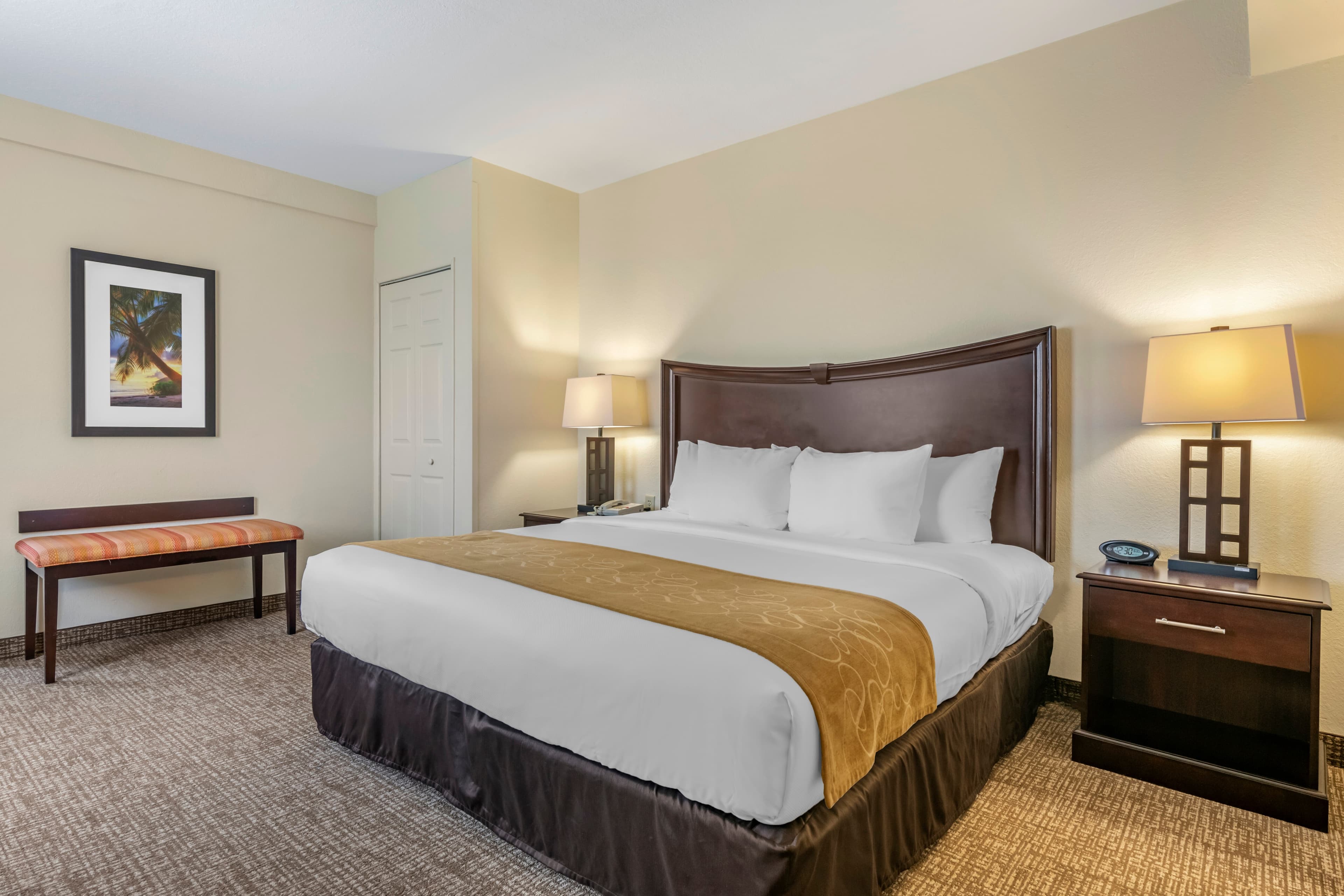 Comfort Suites Maingate East — 18
