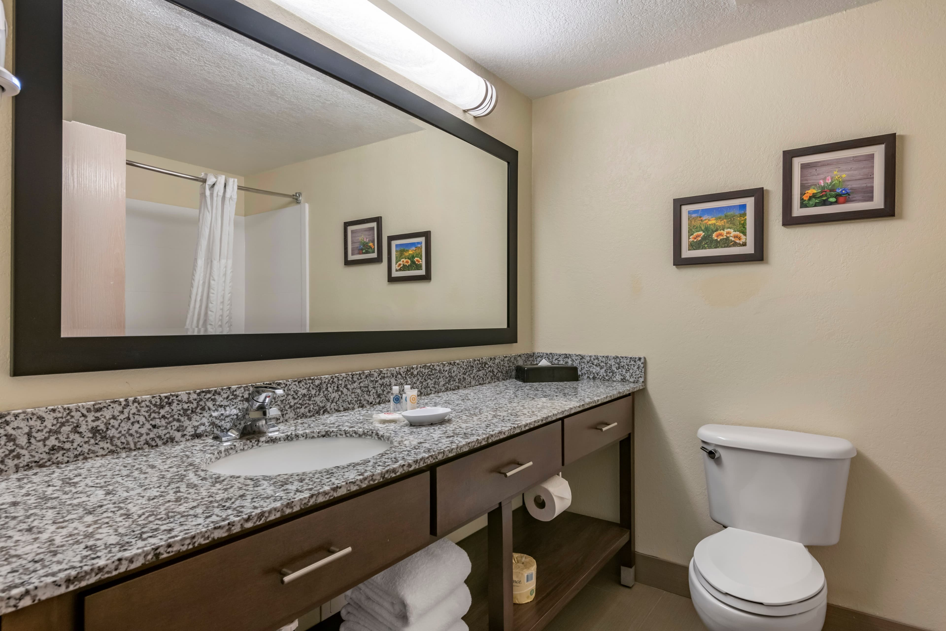 Comfort Suites Maingate East - Image 3