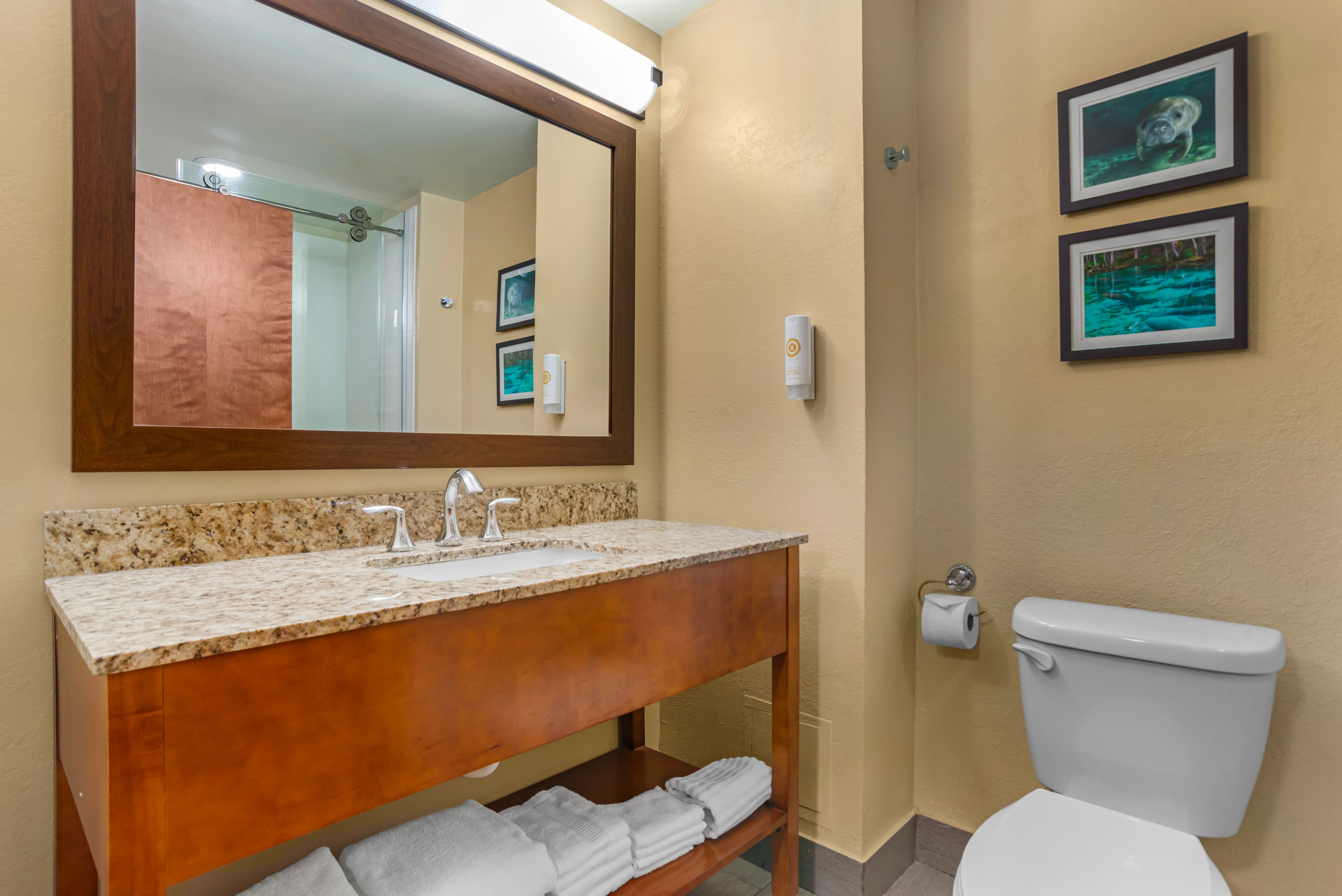Comfort Suites Tallahassee Capitol - University Area - Image 5
