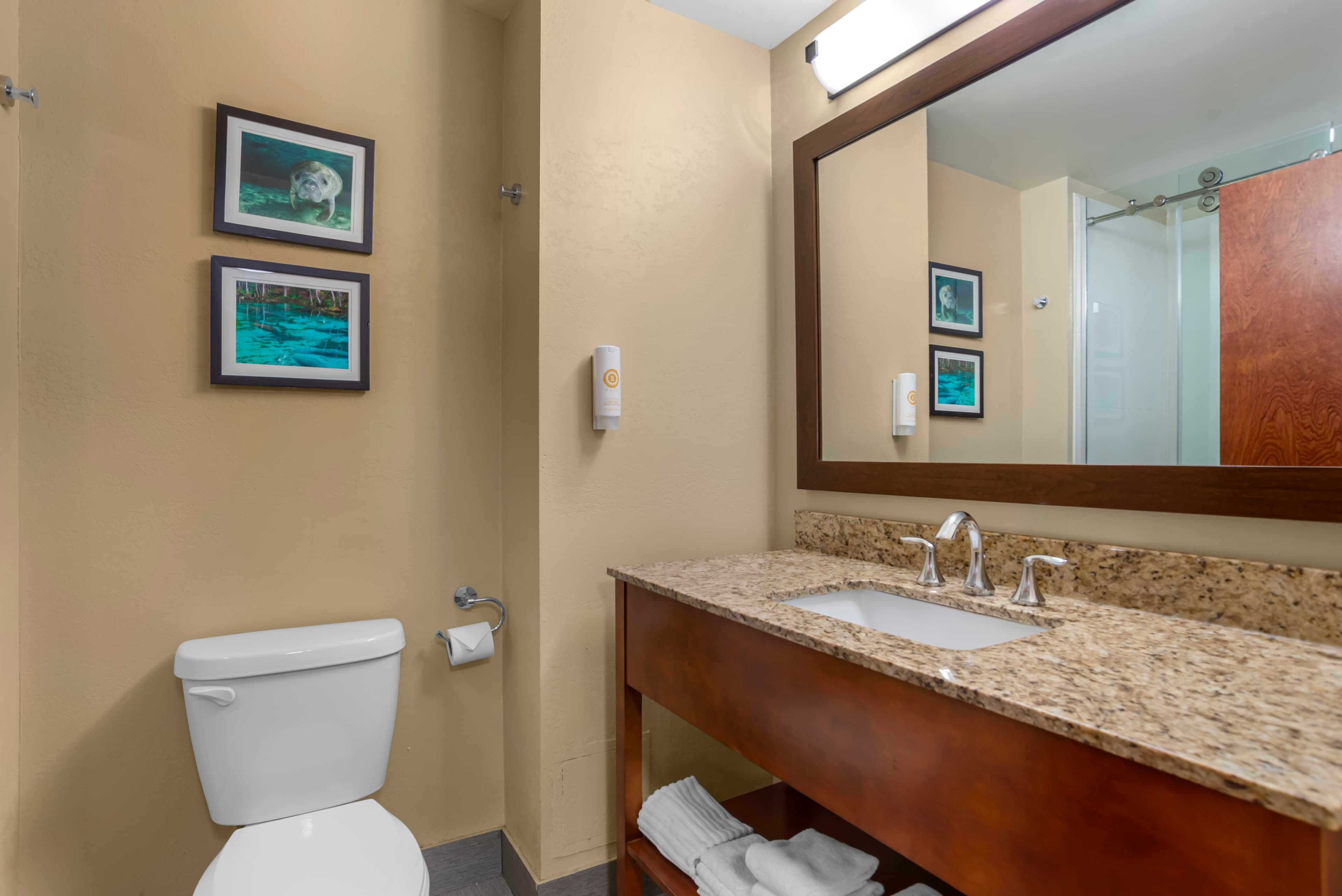 Comfort Suites Tallahassee Capitol - University Area — 9