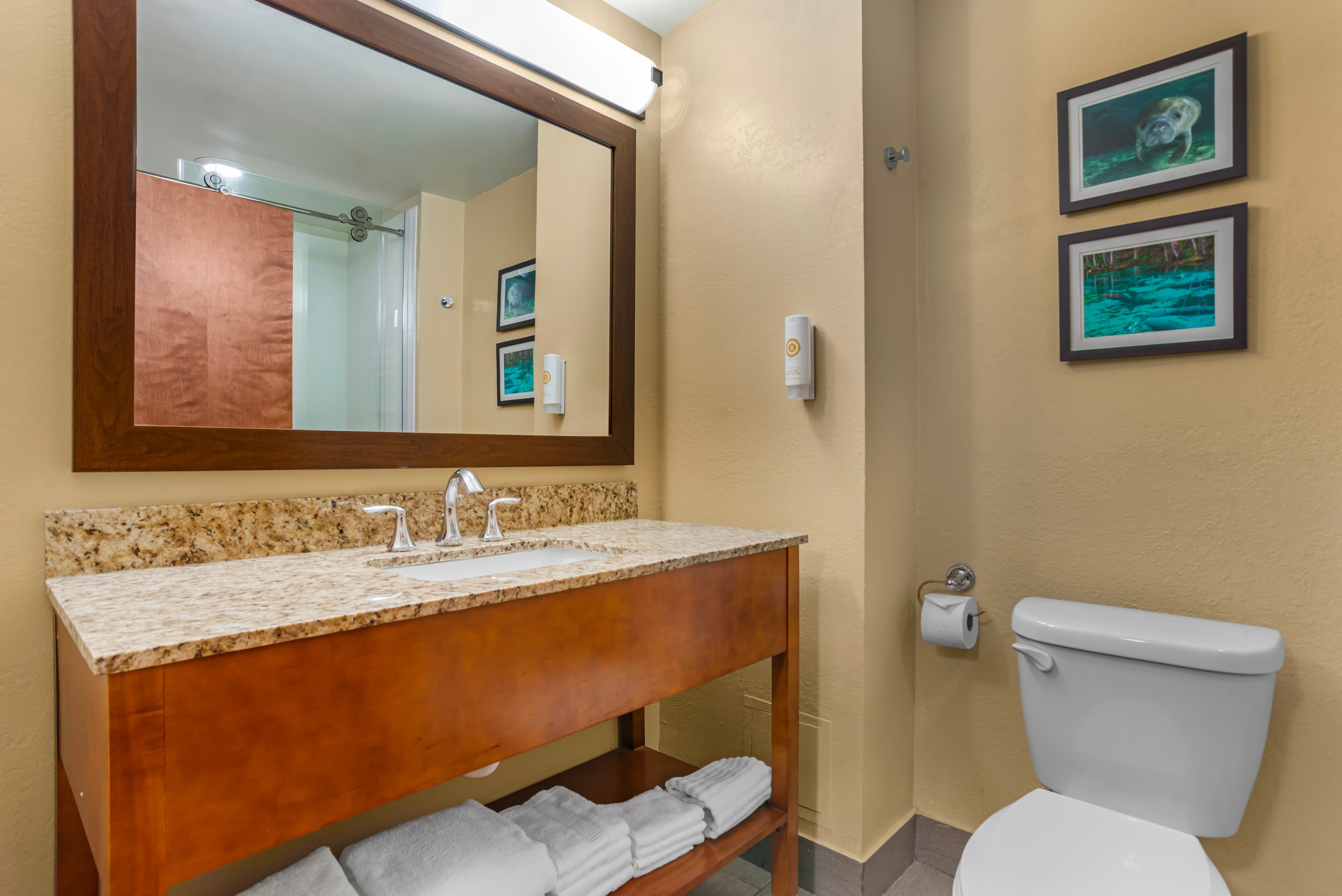 Comfort Suites Tallahassee Capitol - University Area — 24