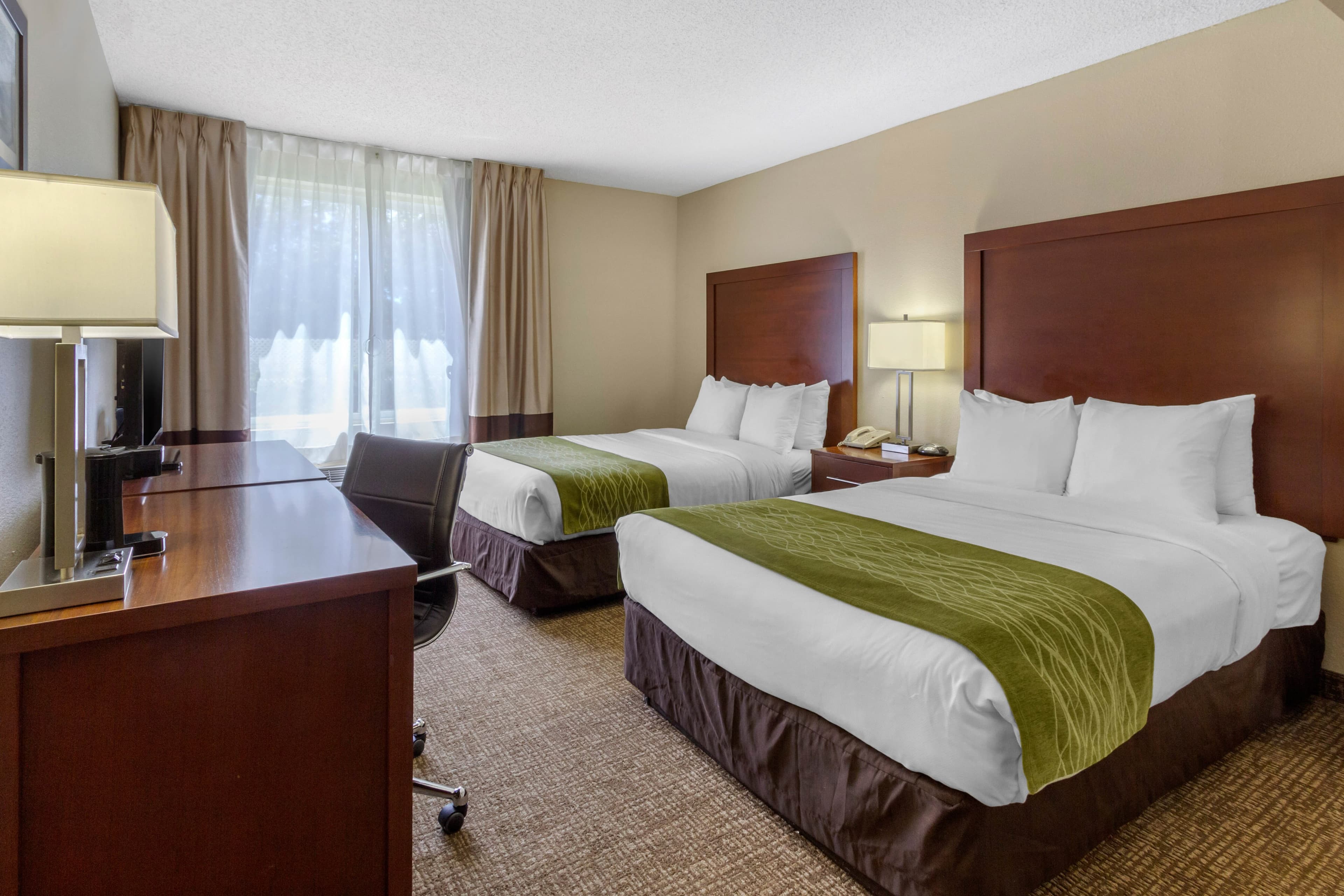 Comfort Inn St Petersburg North - Image 2