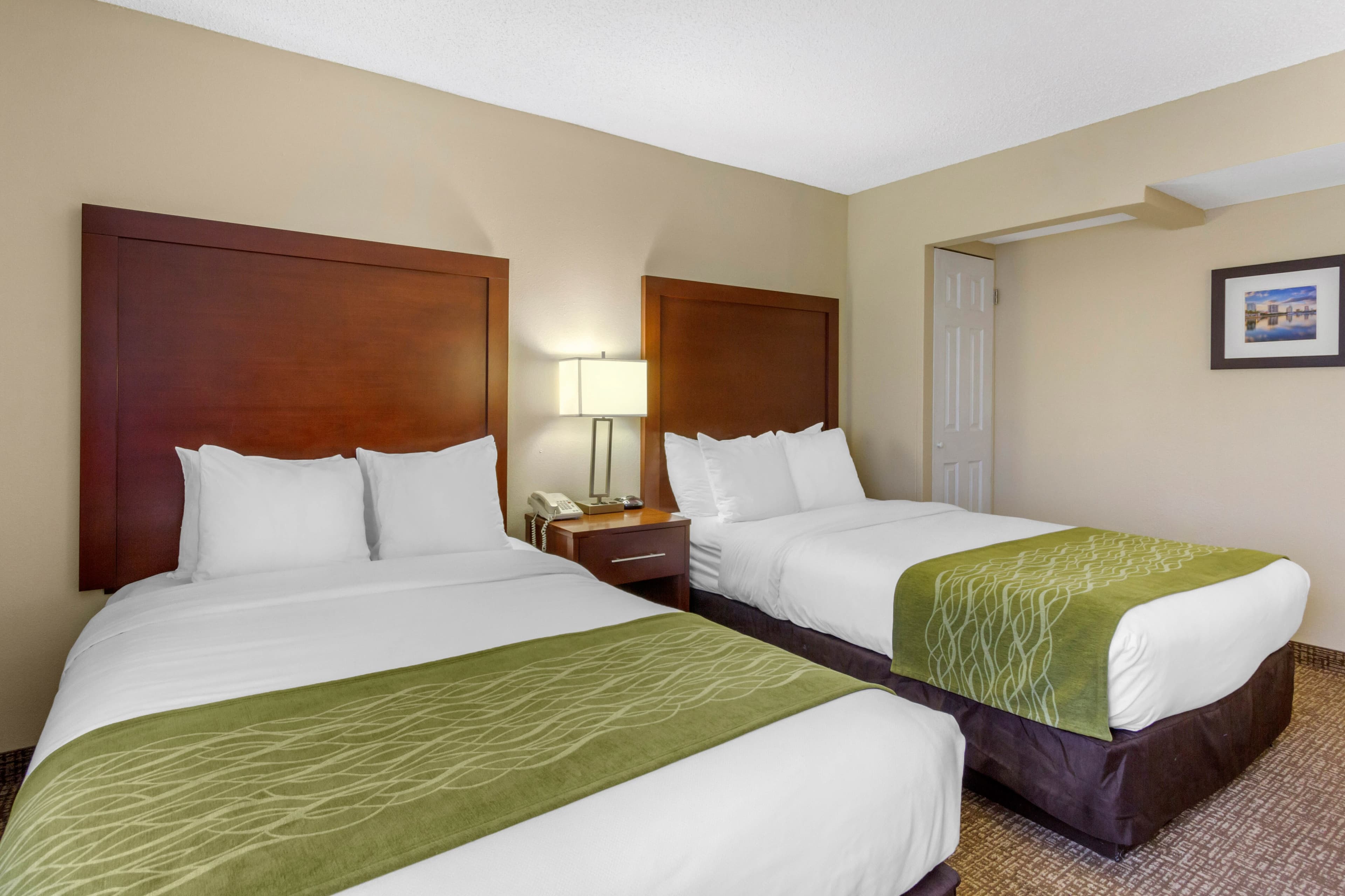 Comfort Inn St Petersburg North - Image 5
