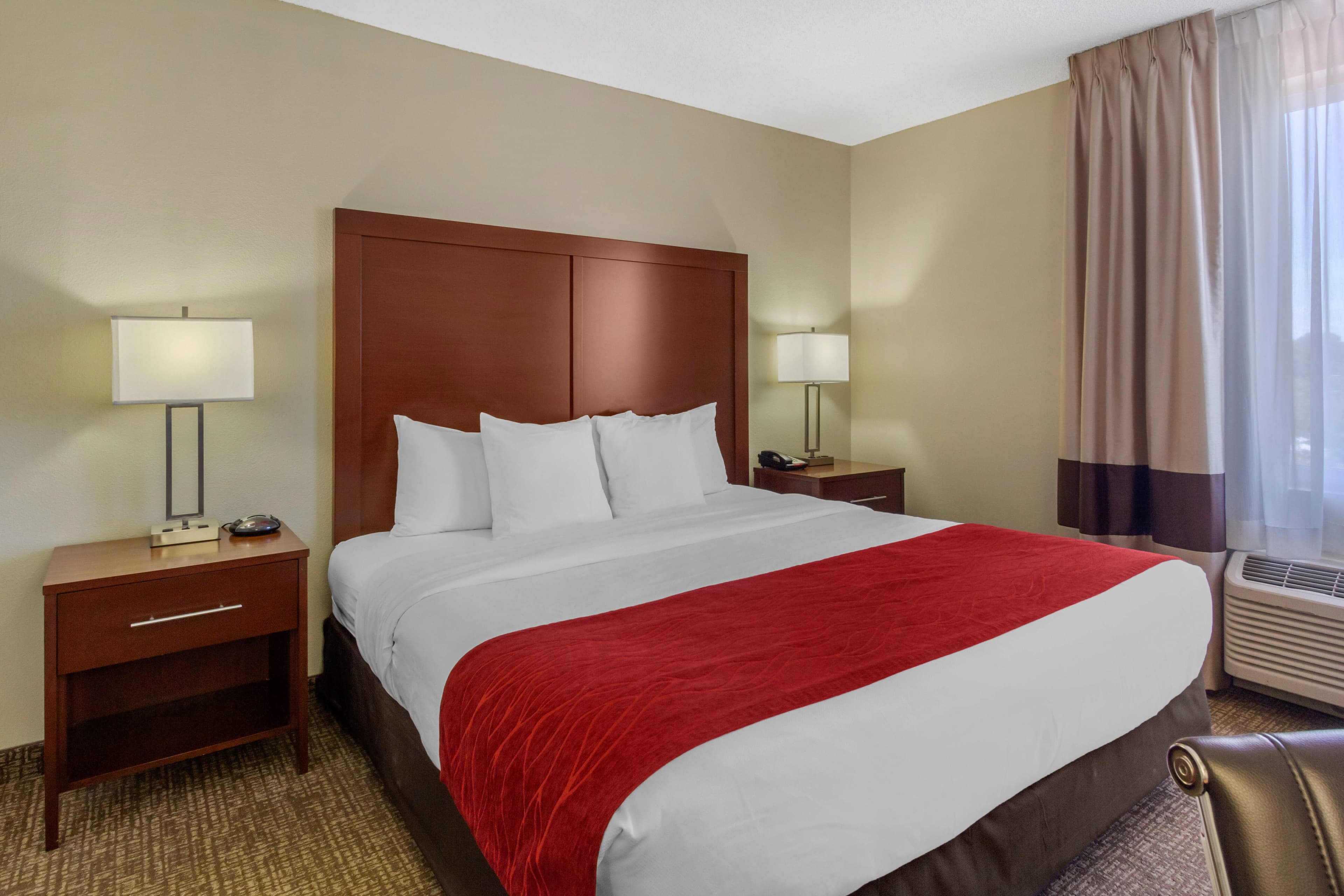 Comfort Inn St Petersburg North — 7