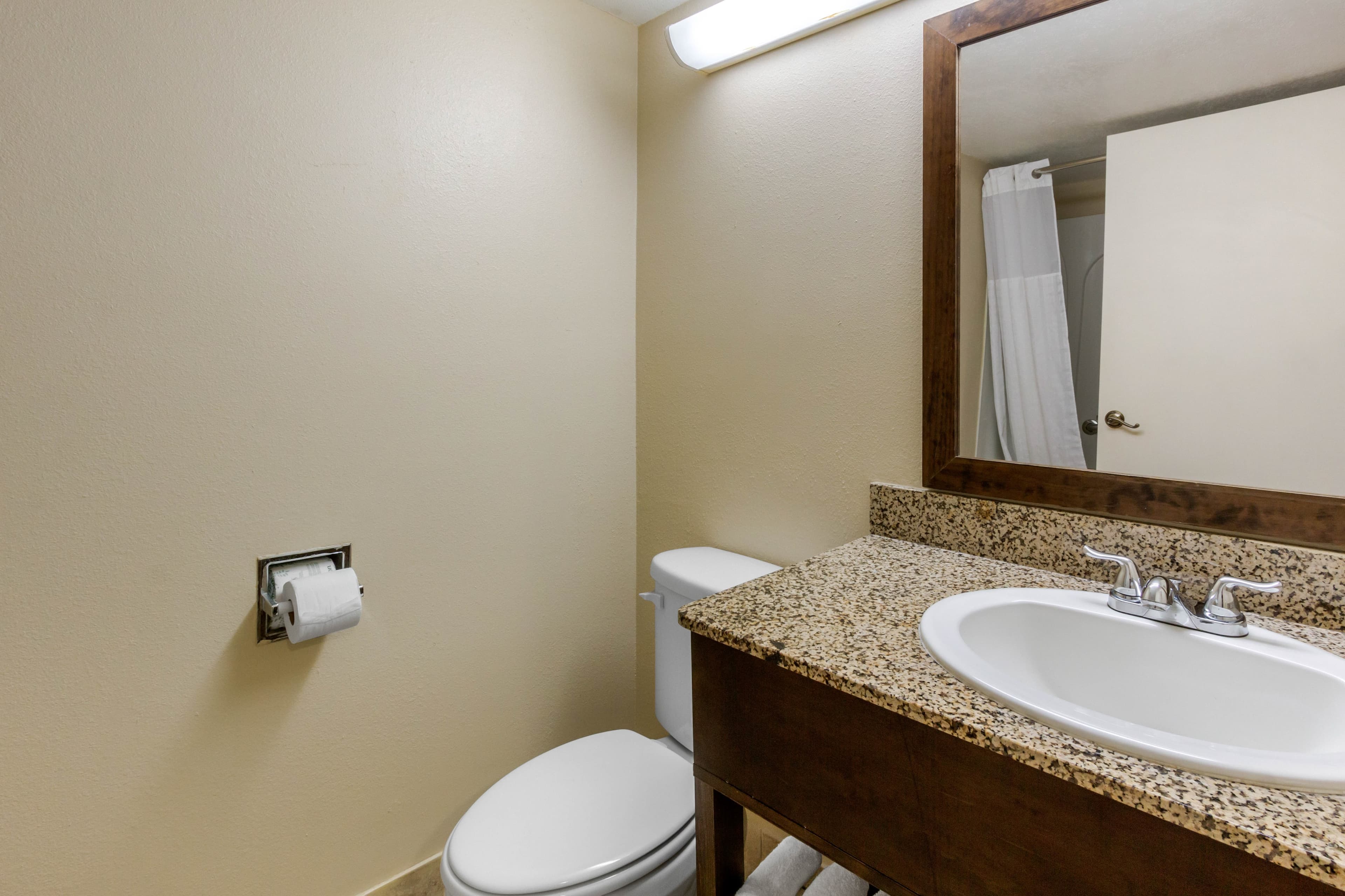 Comfort Inn St Petersburg North — 30
