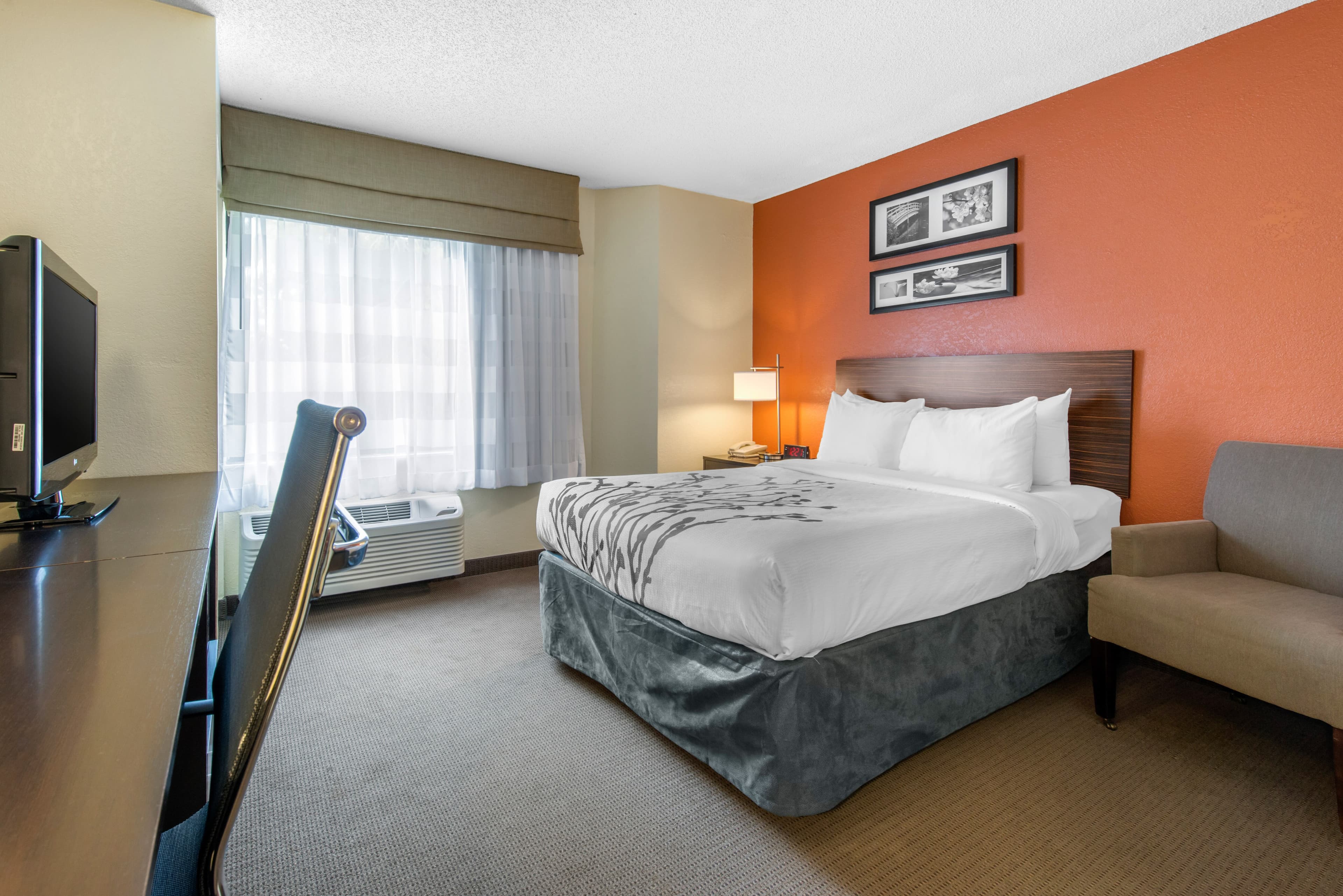 Sleep Inn Sarasota North - Image 2