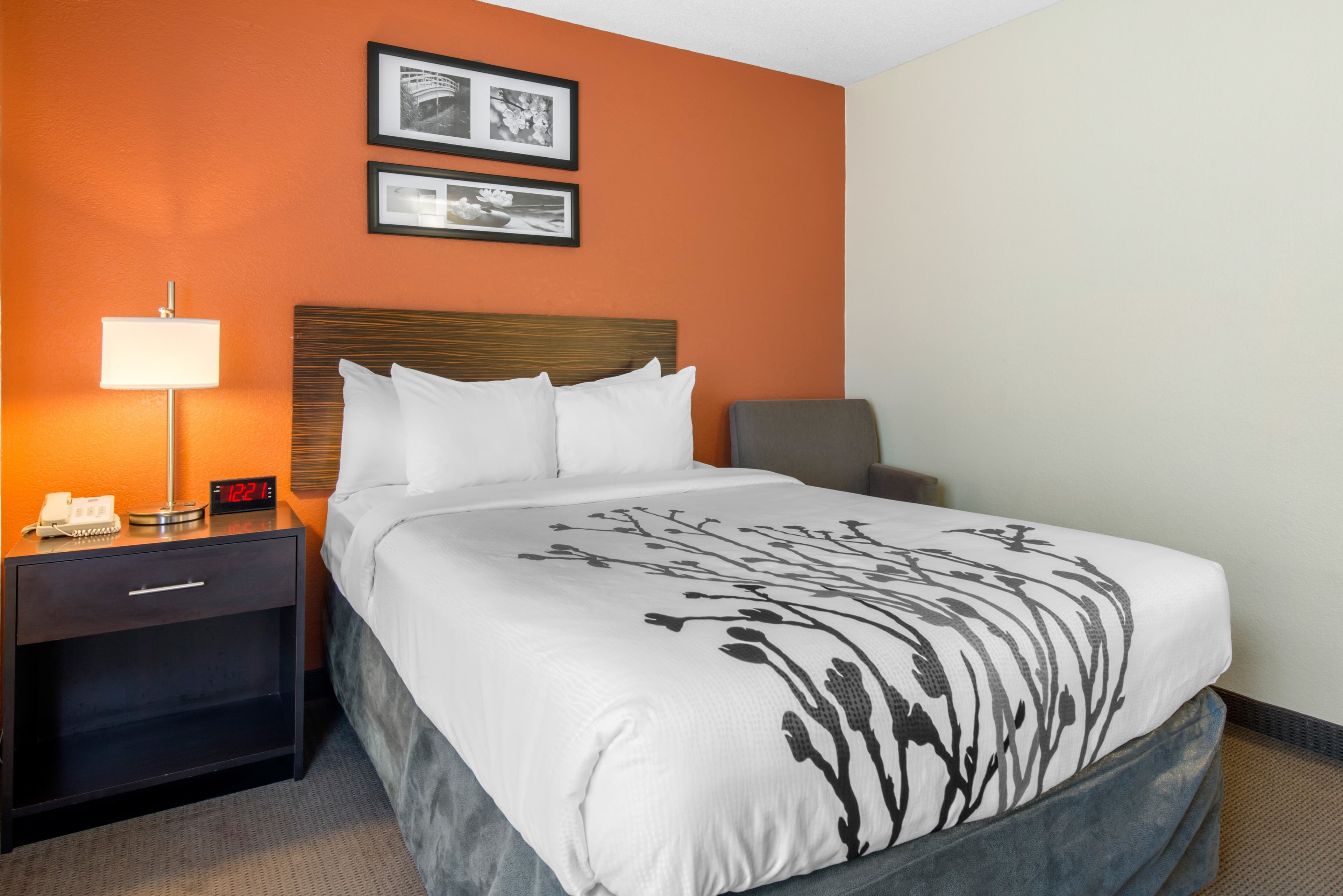 Sleep Inn Sarasota North - Image 4