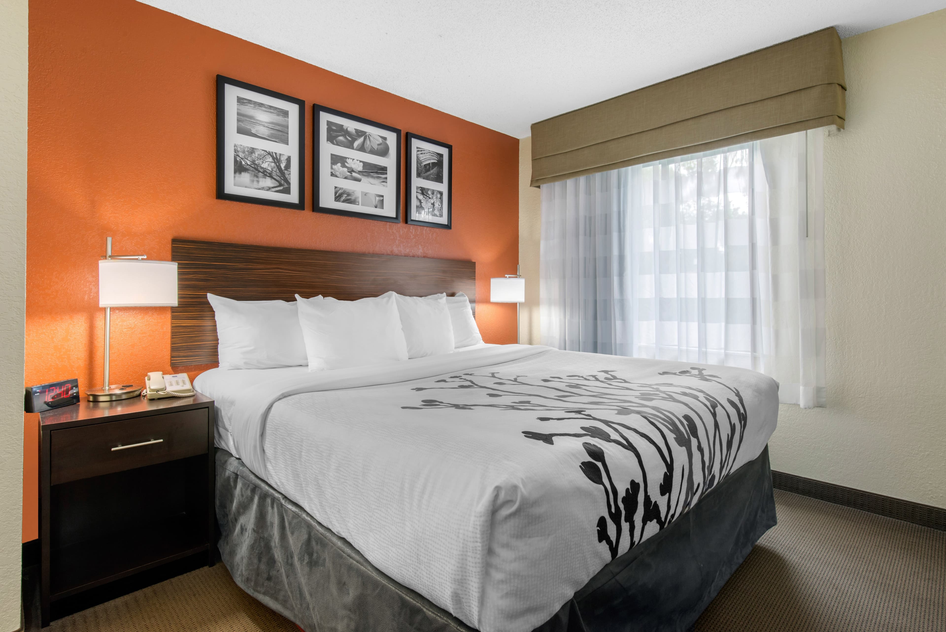 Sleep Inn Sarasota North — 7