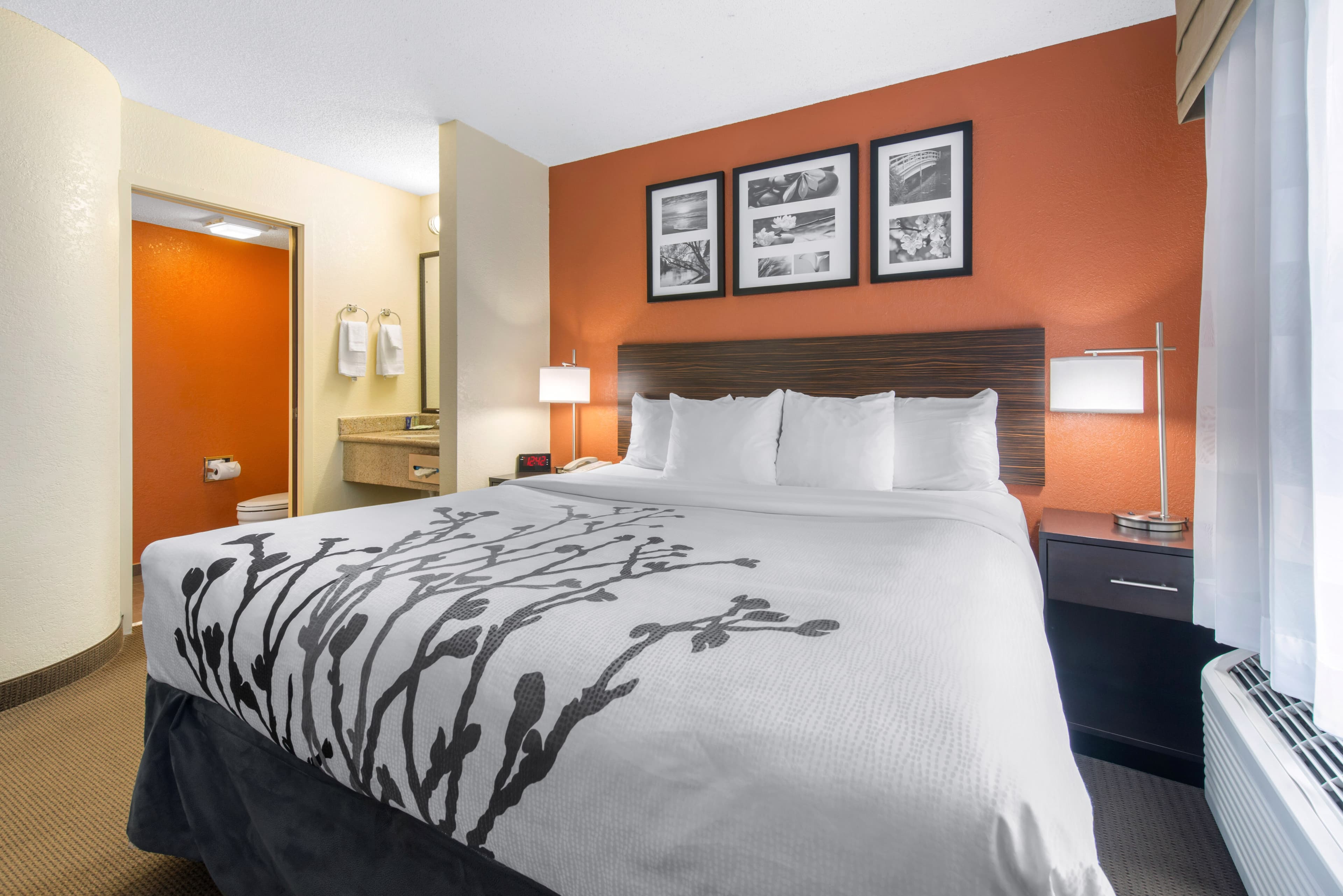 Sleep Inn Sarasota North — 9