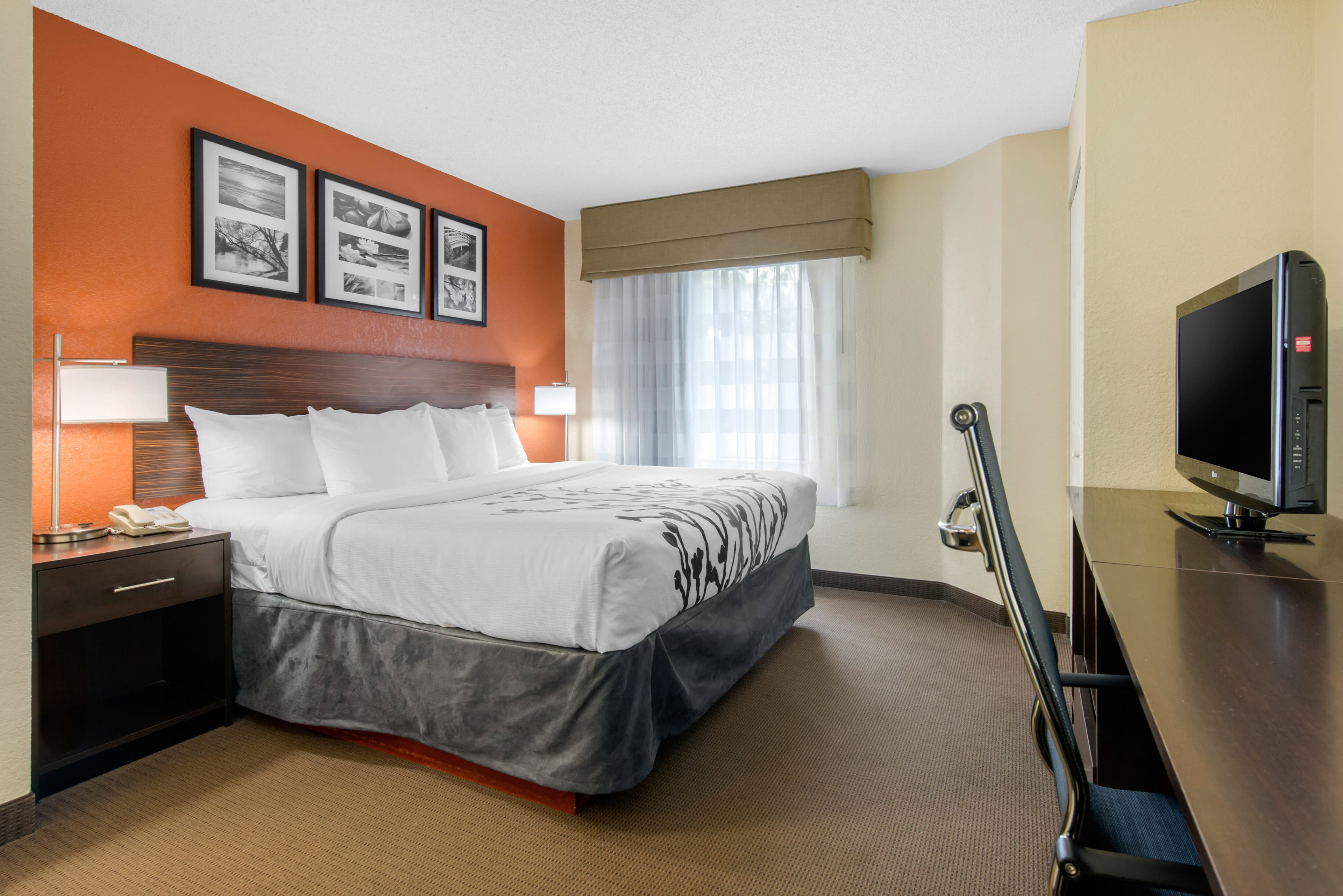 Sleep Inn Sarasota North — 10