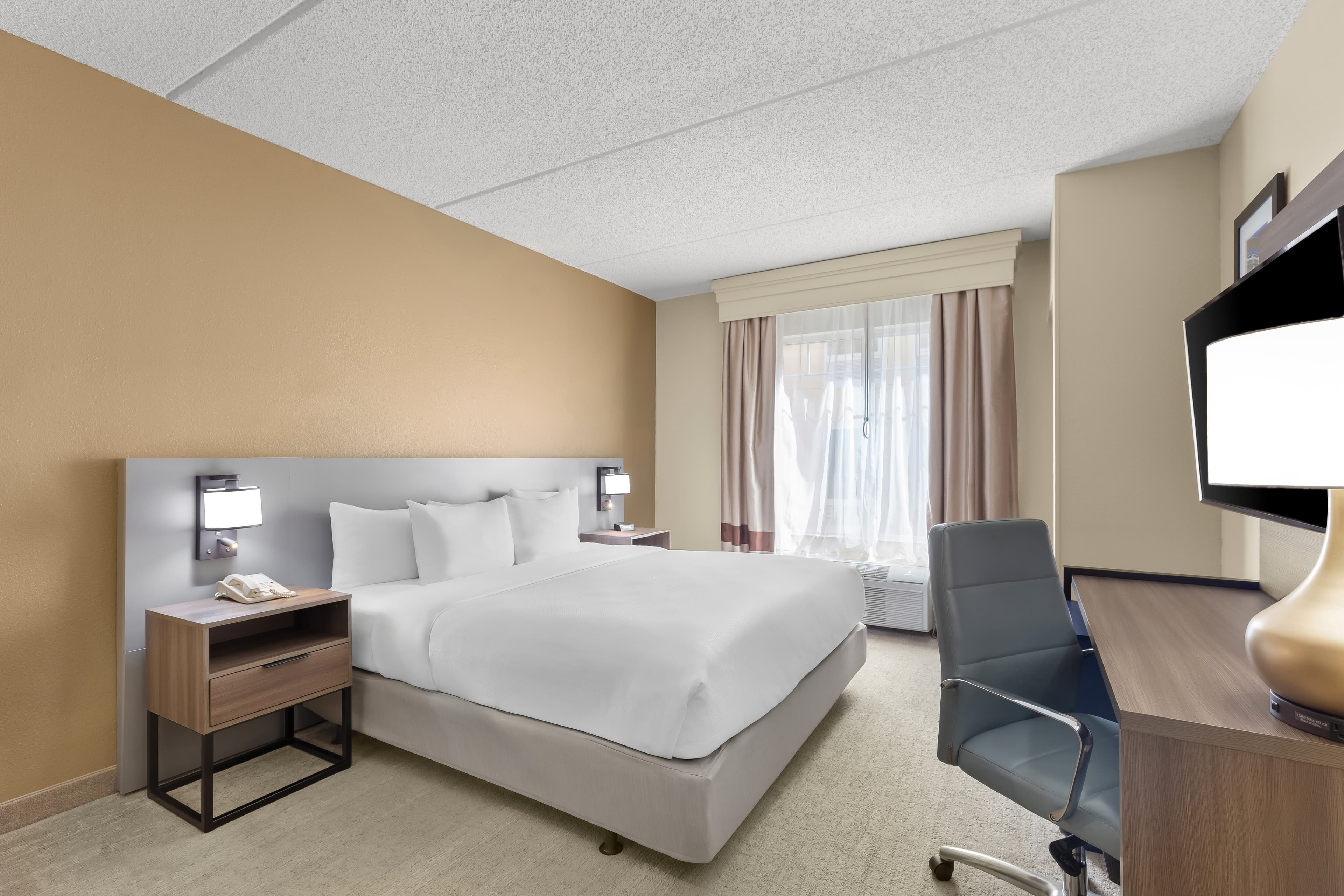 Comfort Suites Near Universal Orlando Resort - Image 4