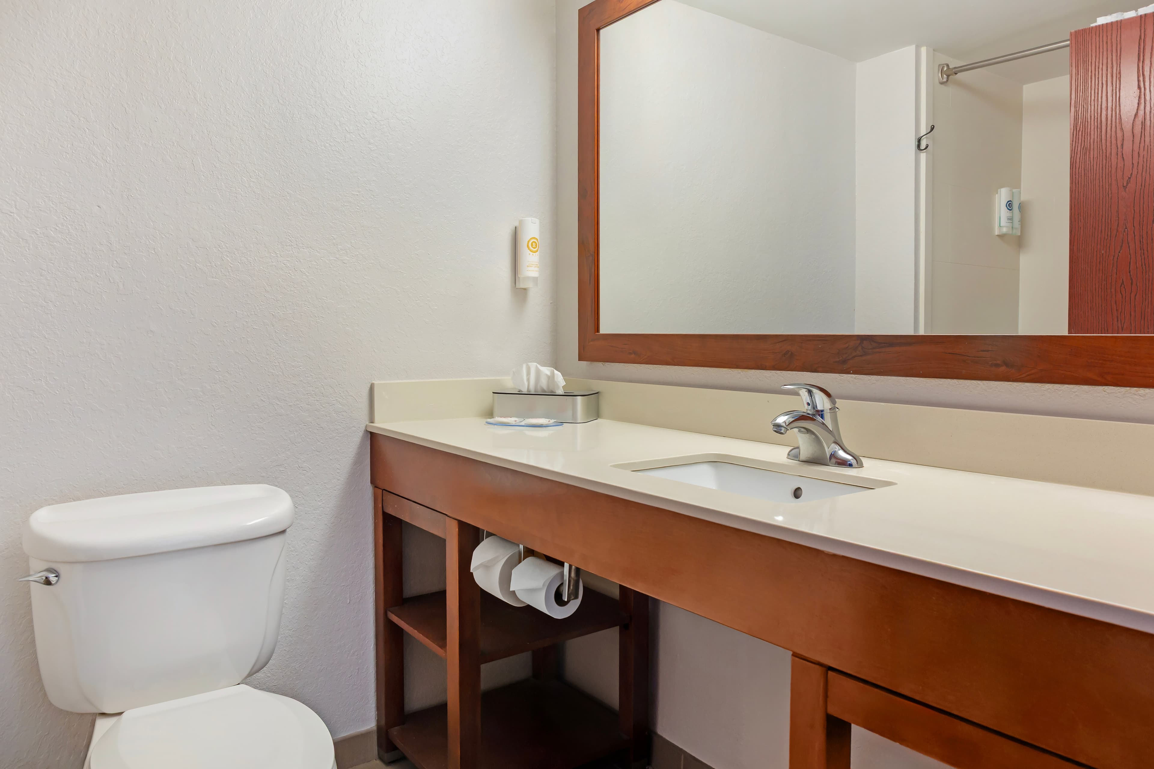 Comfort Inn & Suites Orlando North — 9