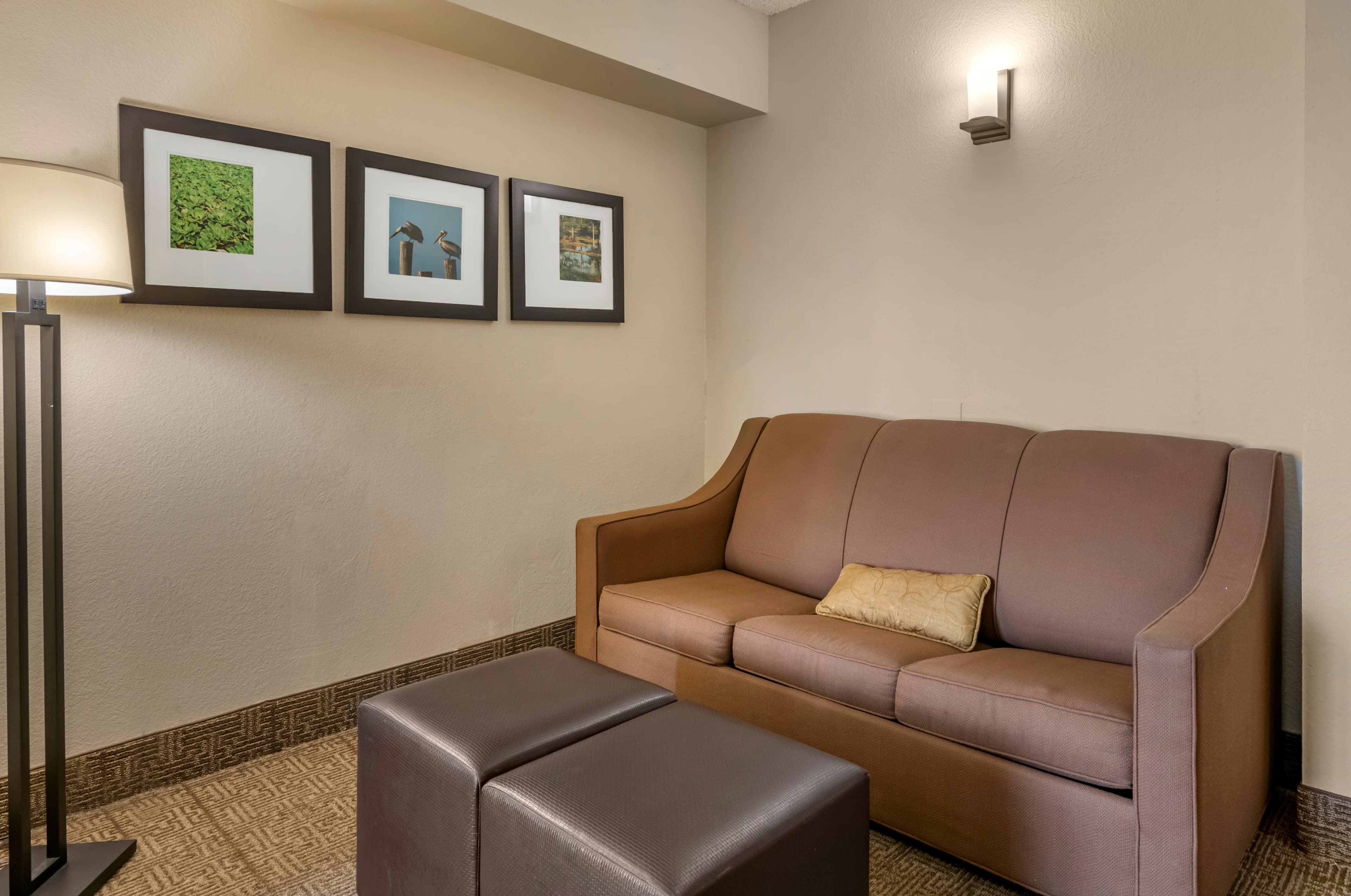 Comfort Suites Tamarac Sawgrass — 10