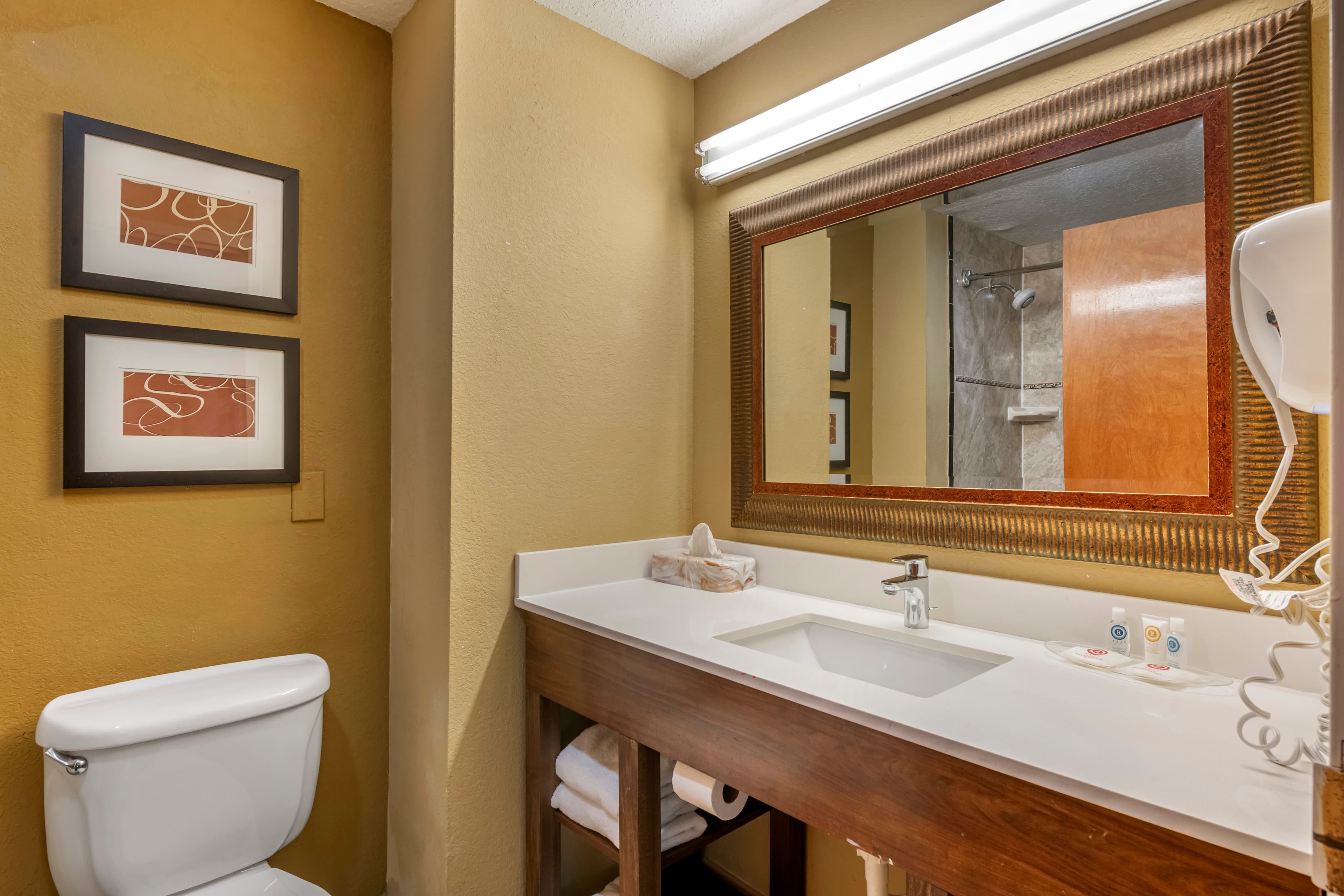 Comfort Suites Tamarac Sawgrass — 11