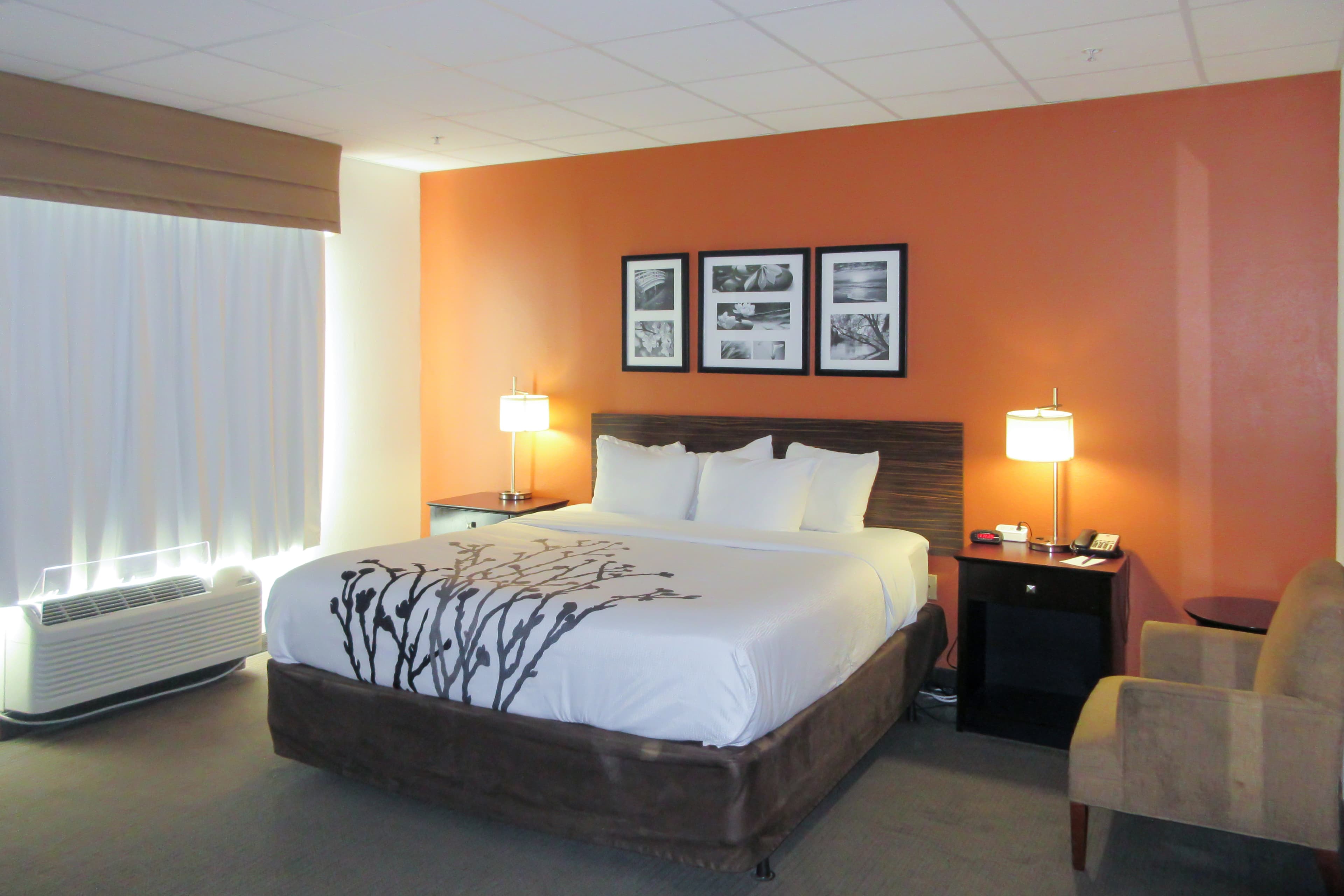 Sleep Inn & Suites Ft. Lauderdale International Airport - Image 2