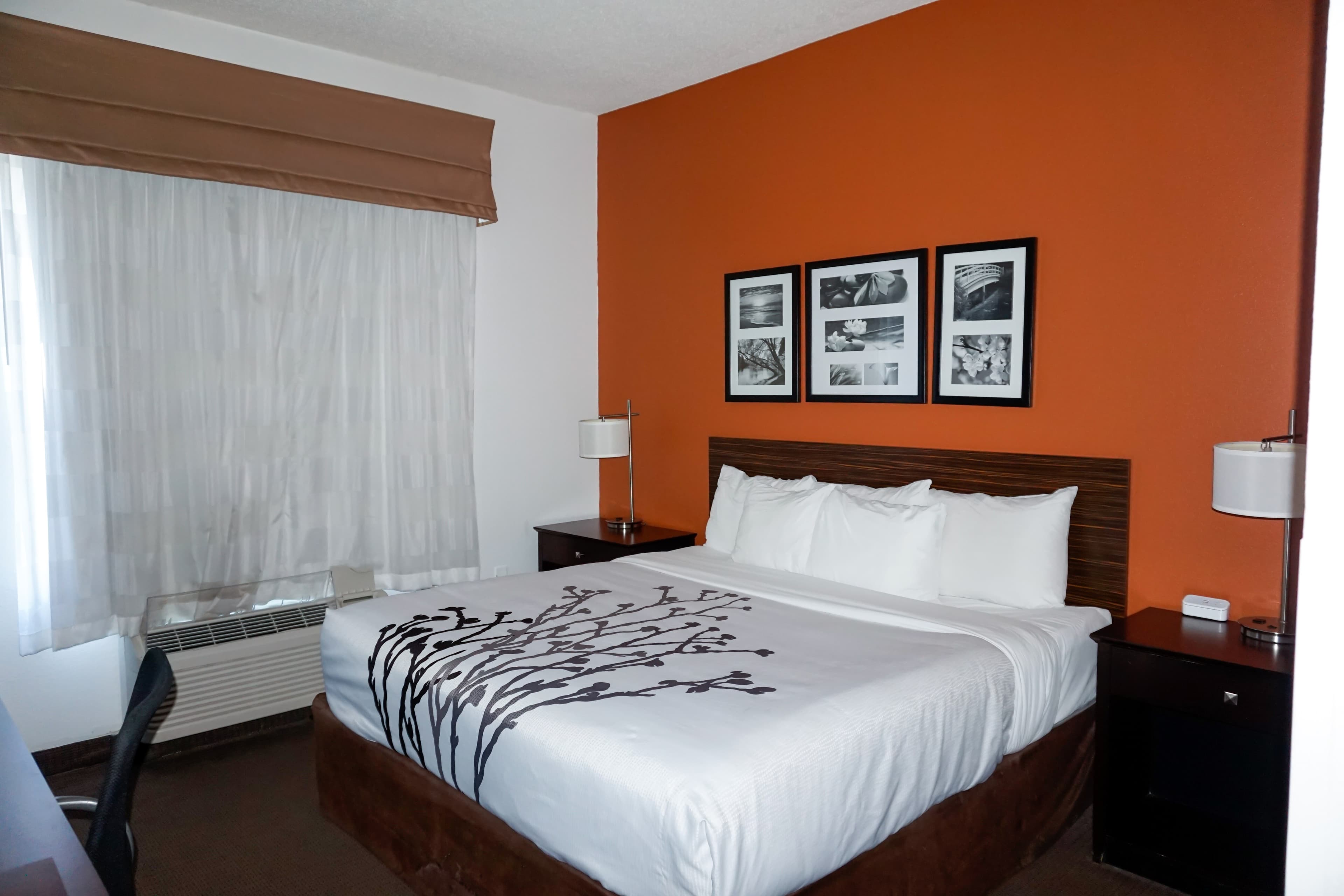 Sleep Inn & Suites Ft. Lauderdale International Airport - Image 3