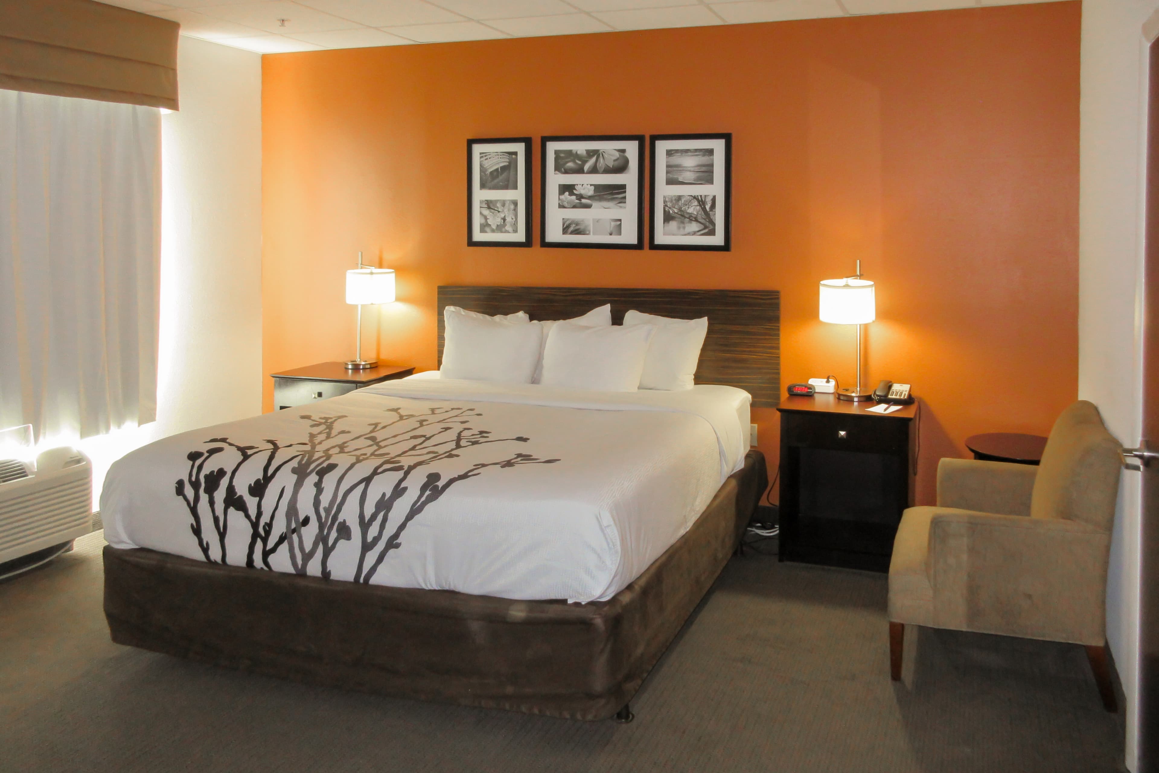 Sleep Inn & Suites Ft. Lauderdale International Airport — 6