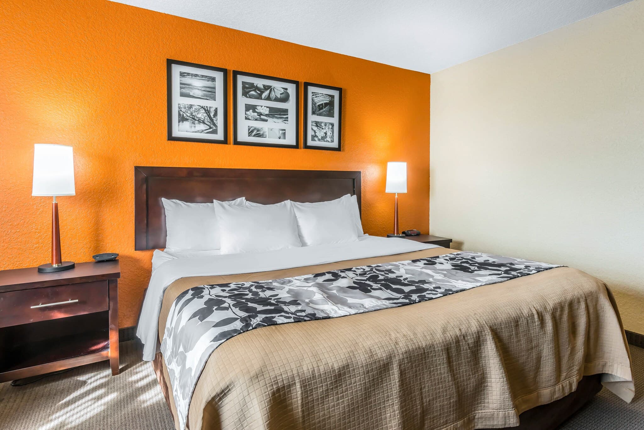 Sleep Inn & Suites Ocala - Belleview - Image 3