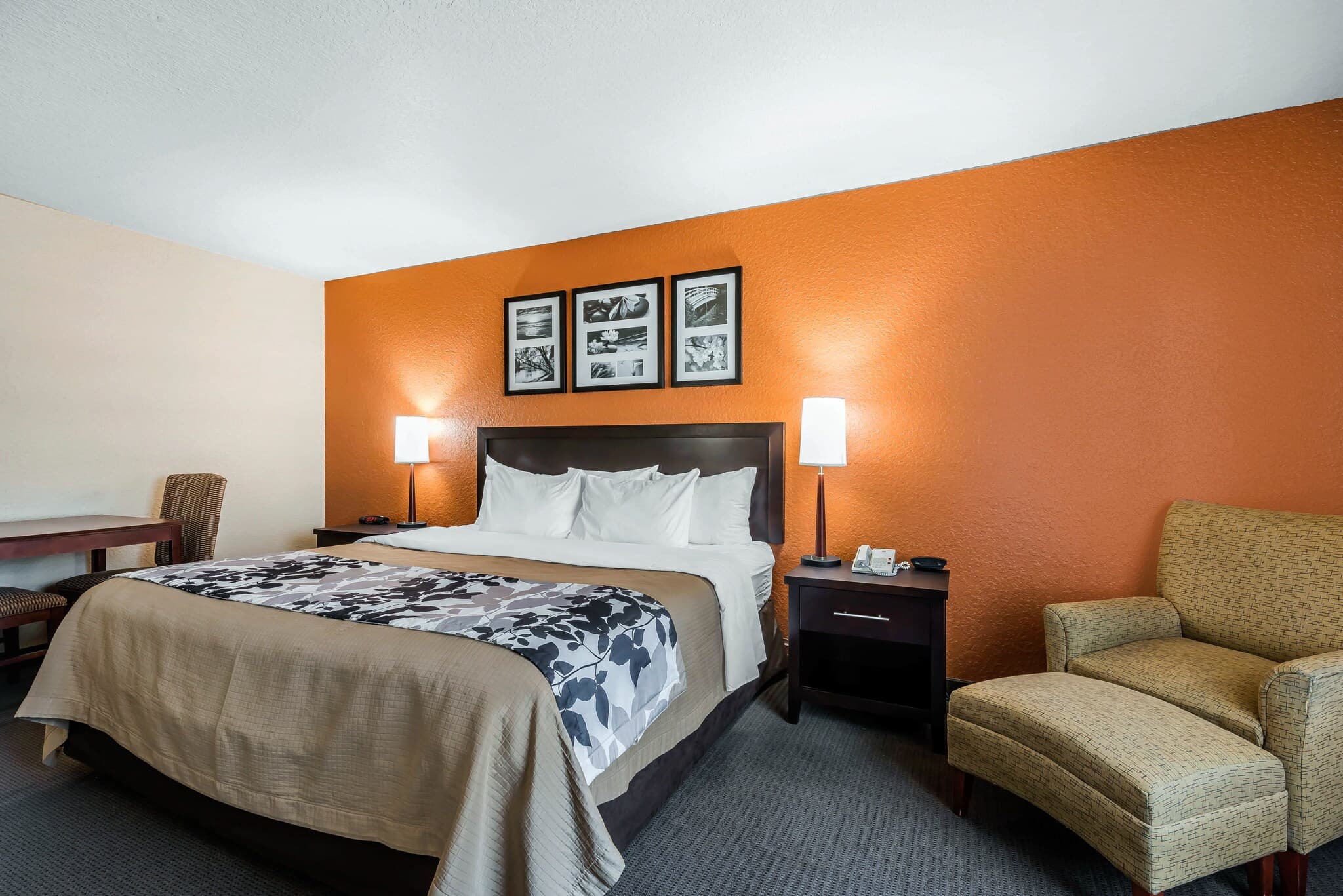 Sleep Inn & Suites Ocala - Belleview — 22