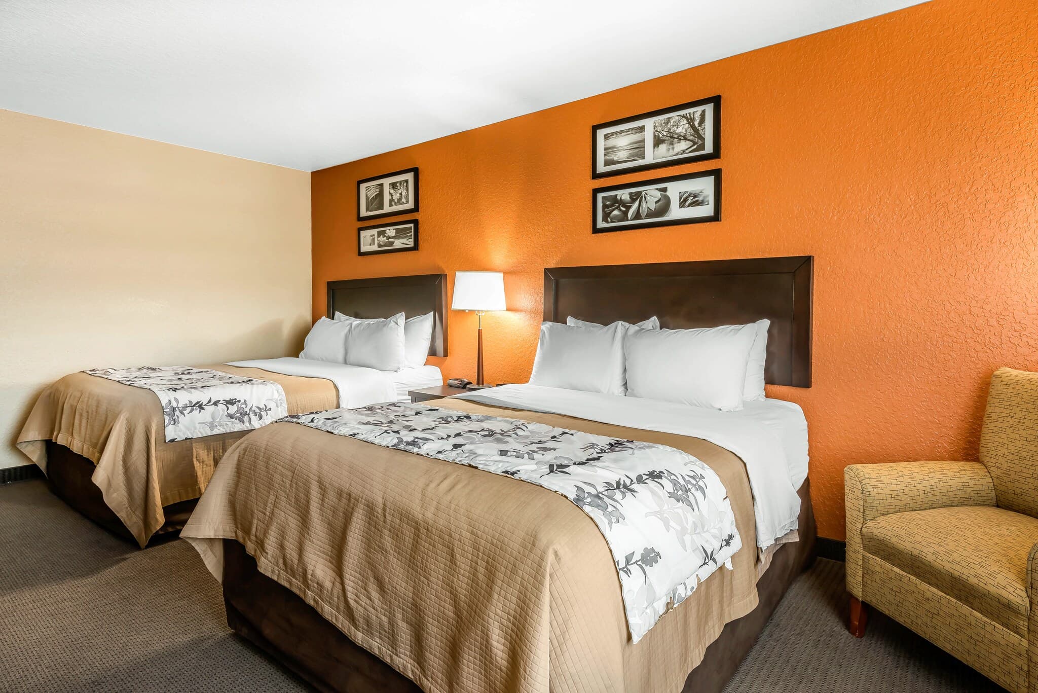 Sleep Inn & Suites Ocala - Belleview - Image 5