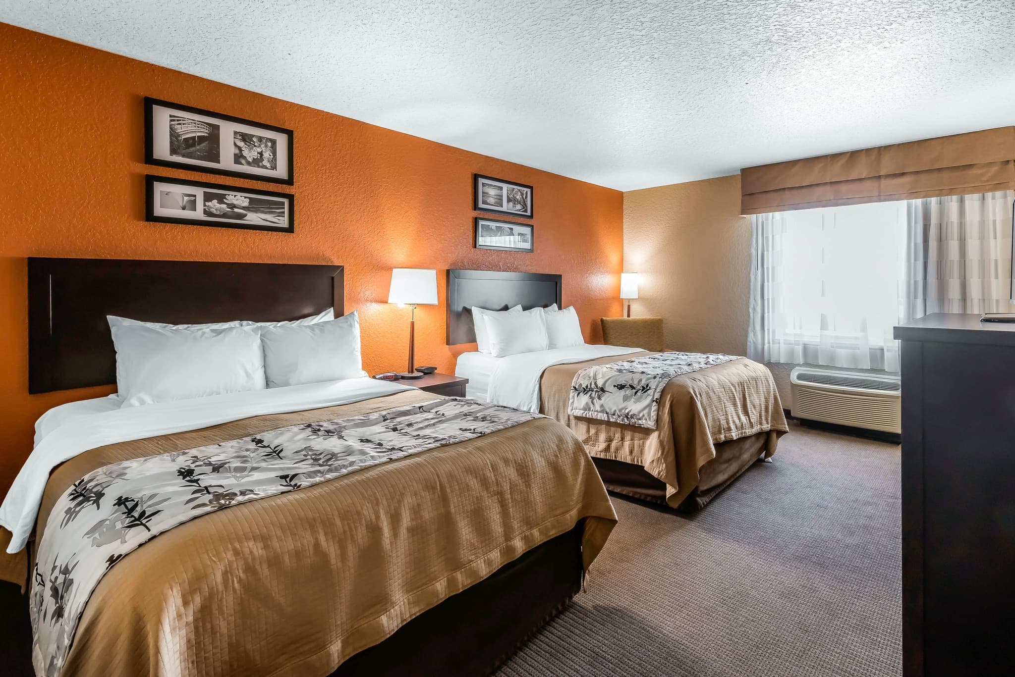 Sleep Inn & Suites Ocala - Belleview — 6