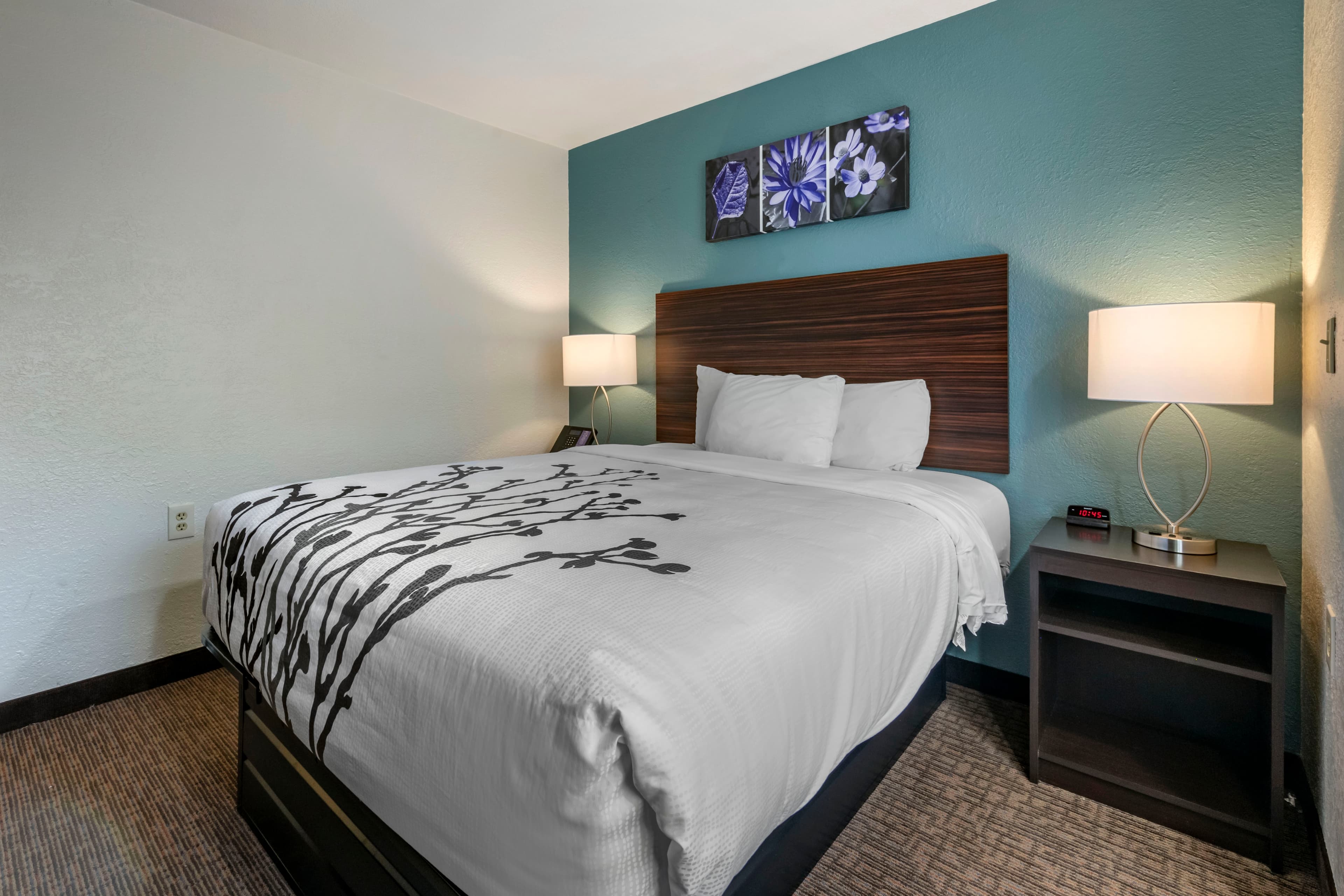 Sleep Inn Jacksonville Airport — 6