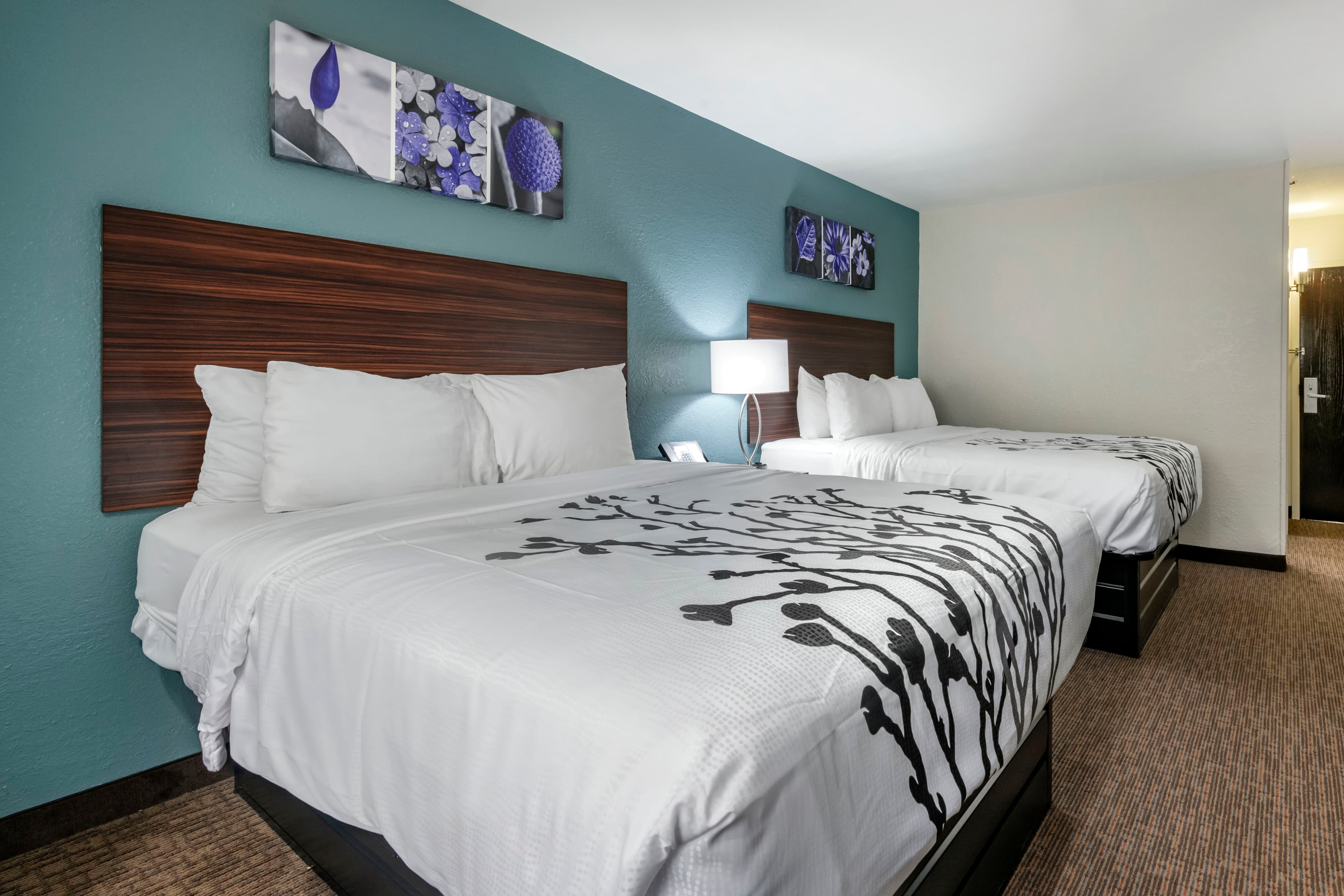 Sleep Inn Jacksonville Airport — 13
