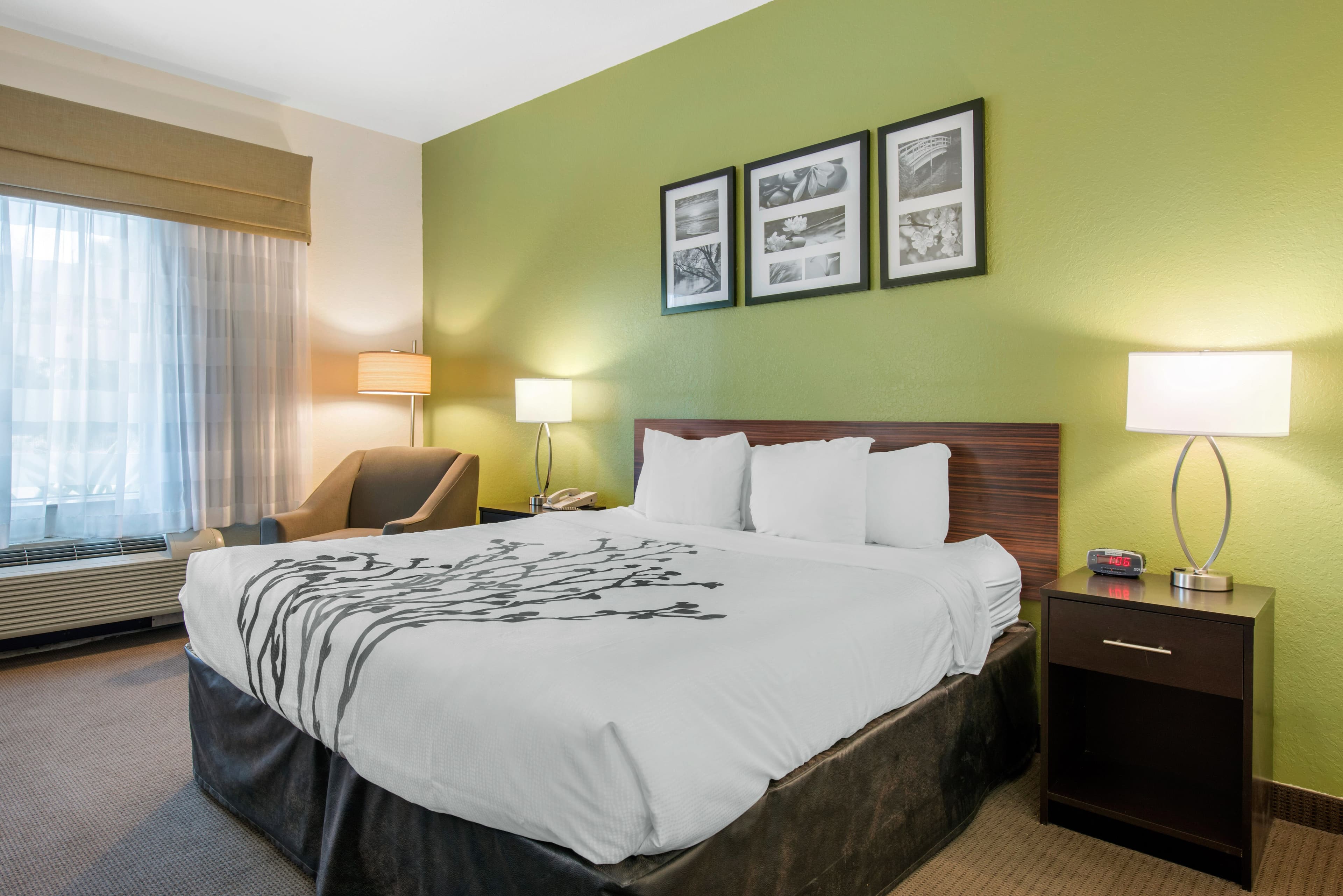Sleep Inn & Suites Port Charlotte-Punta Gorda - Image 3