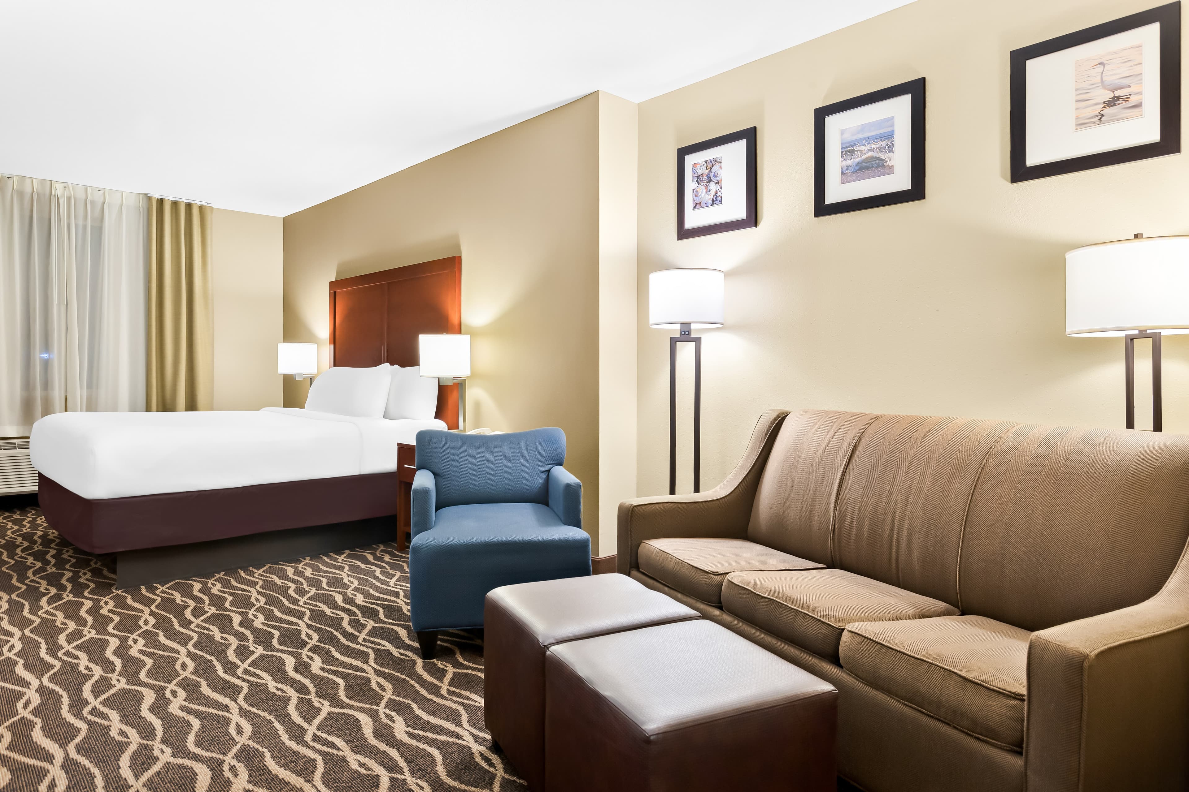 Comfort Suites Tampa Airport North - Image 2