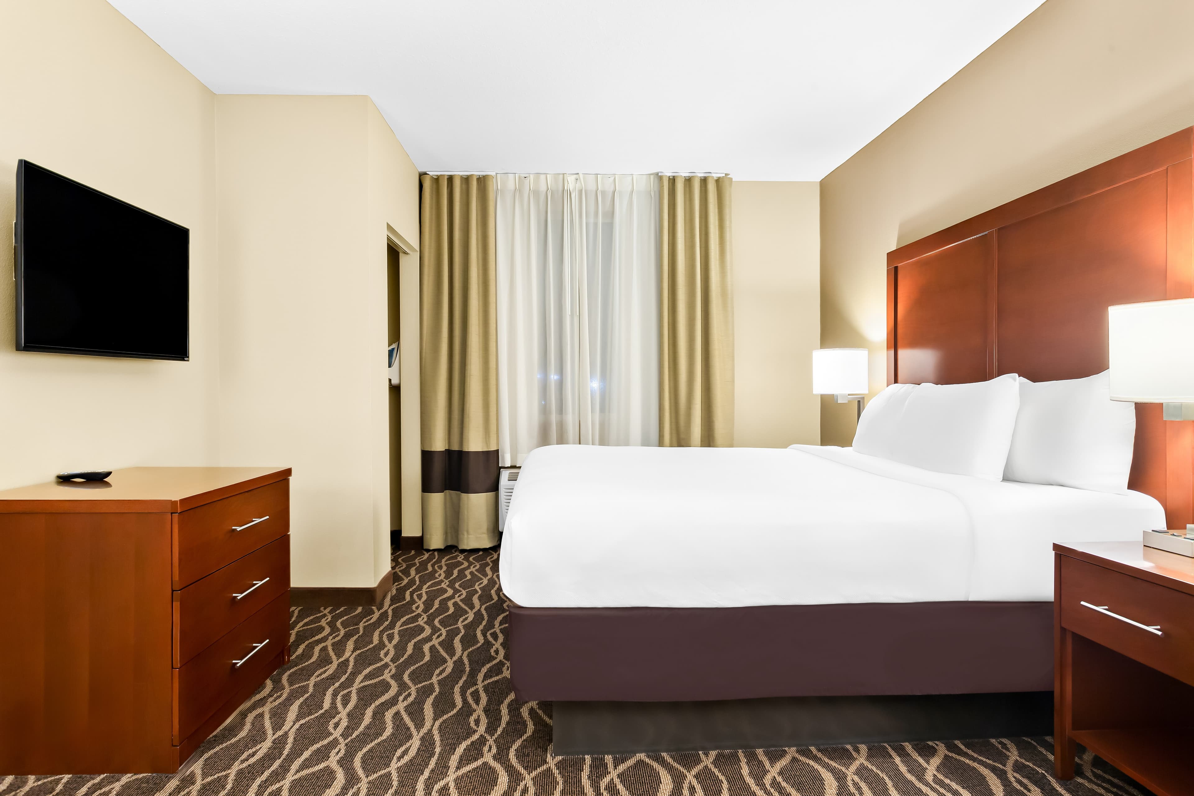 Comfort Suites Tampa Airport North - Image 3
