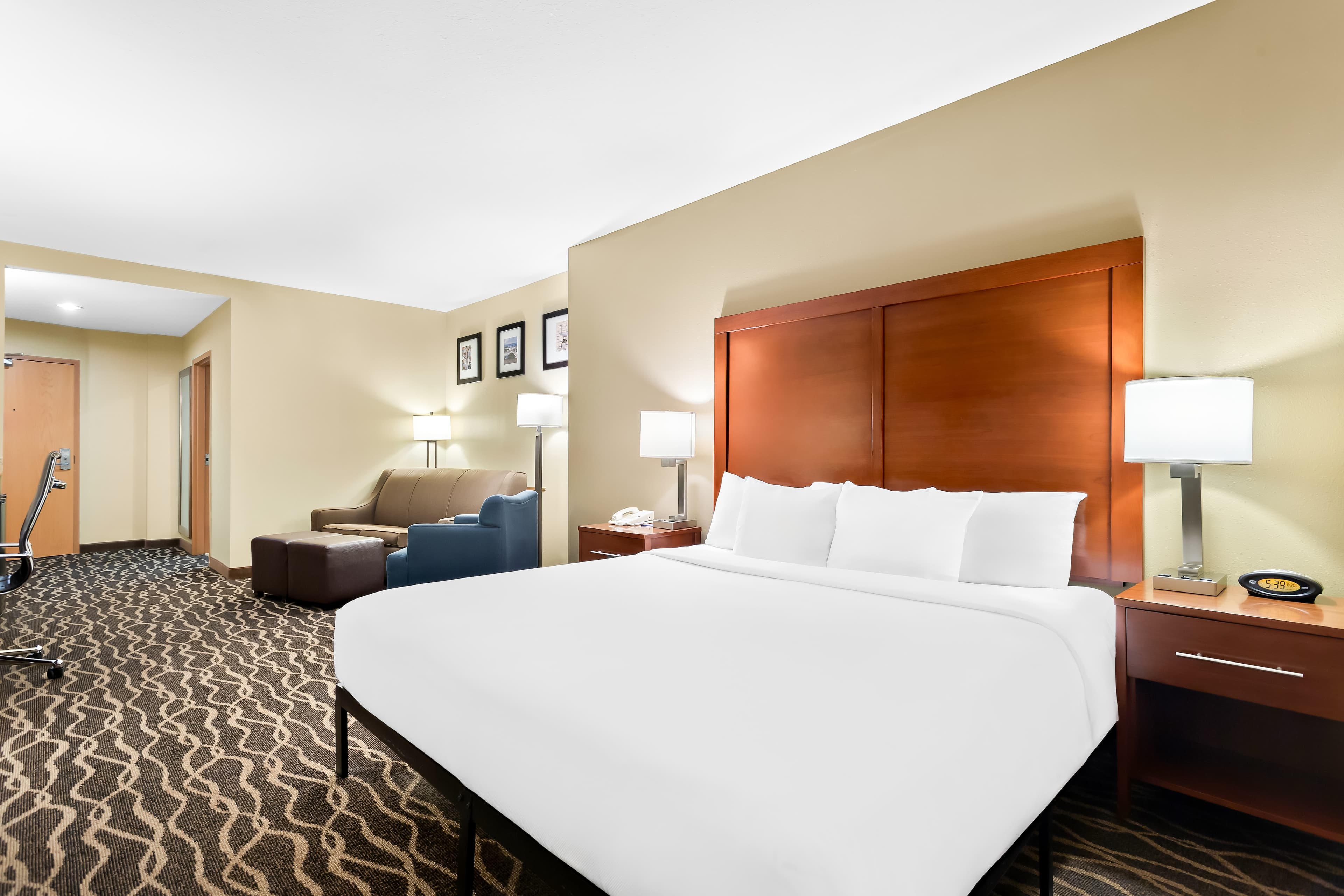 Comfort Suites Tampa Airport North - Image 5